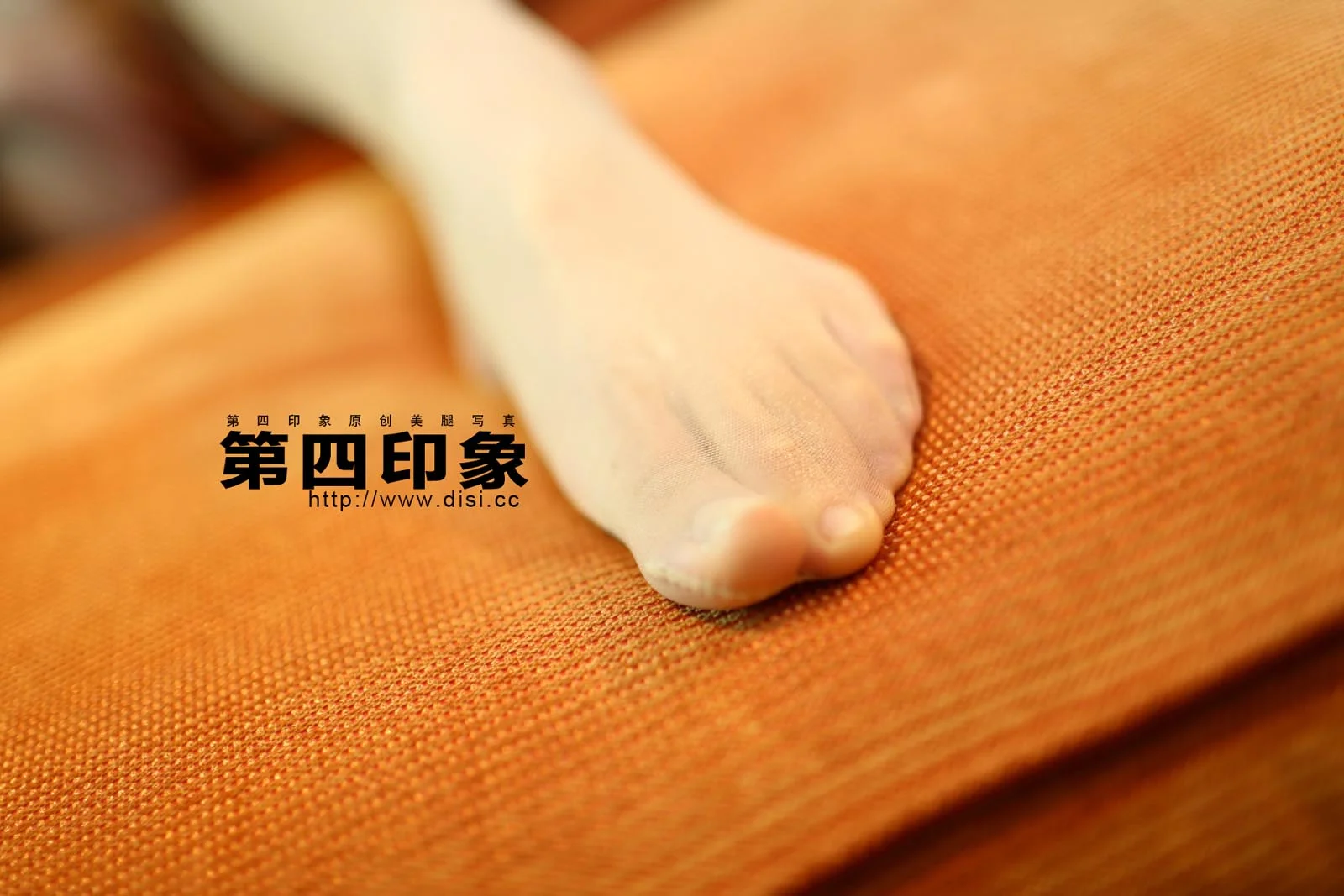 Disi 第四印象 No.186 77P/75.3M - 5