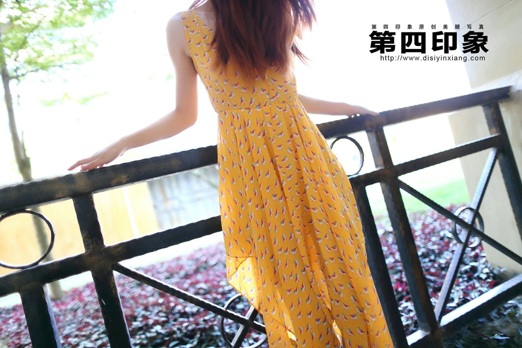 Disi 第四印象 No.394 - 1