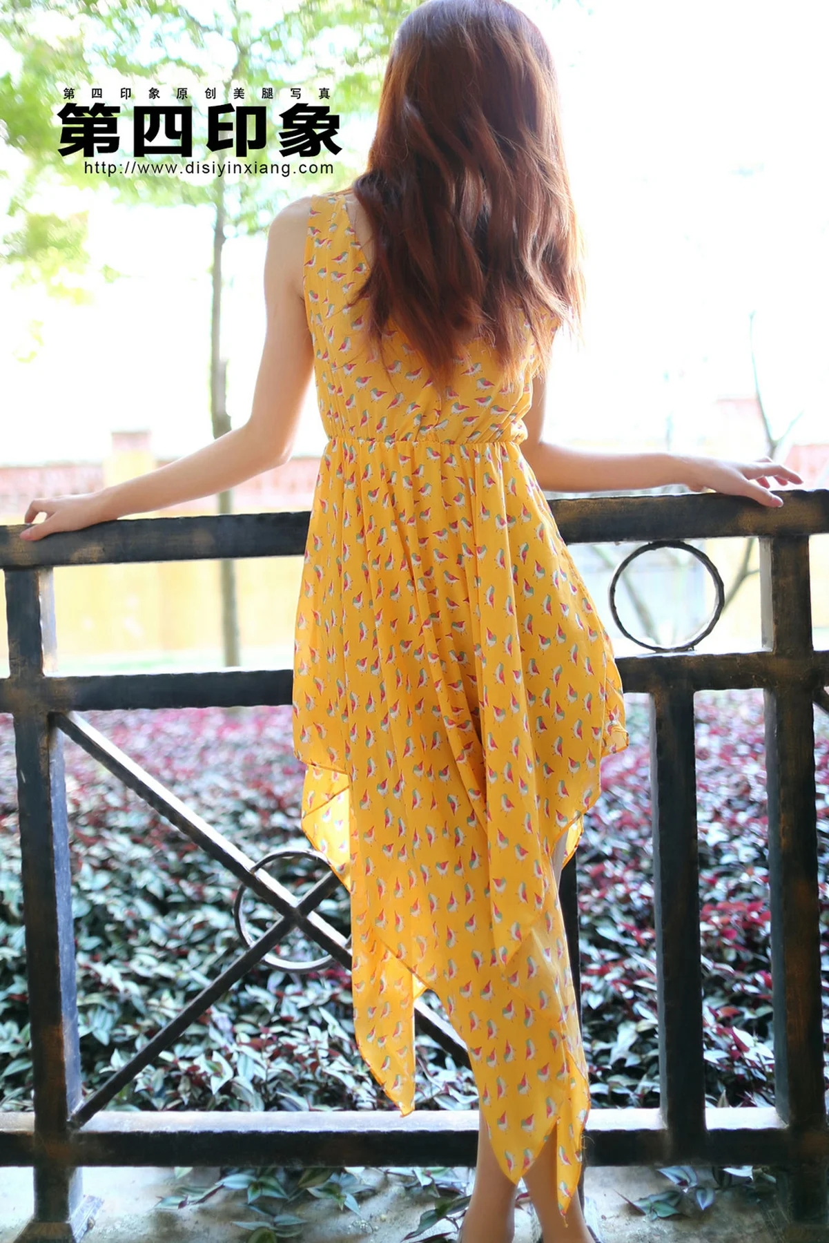 Disi 第四印象 No.394 - 4