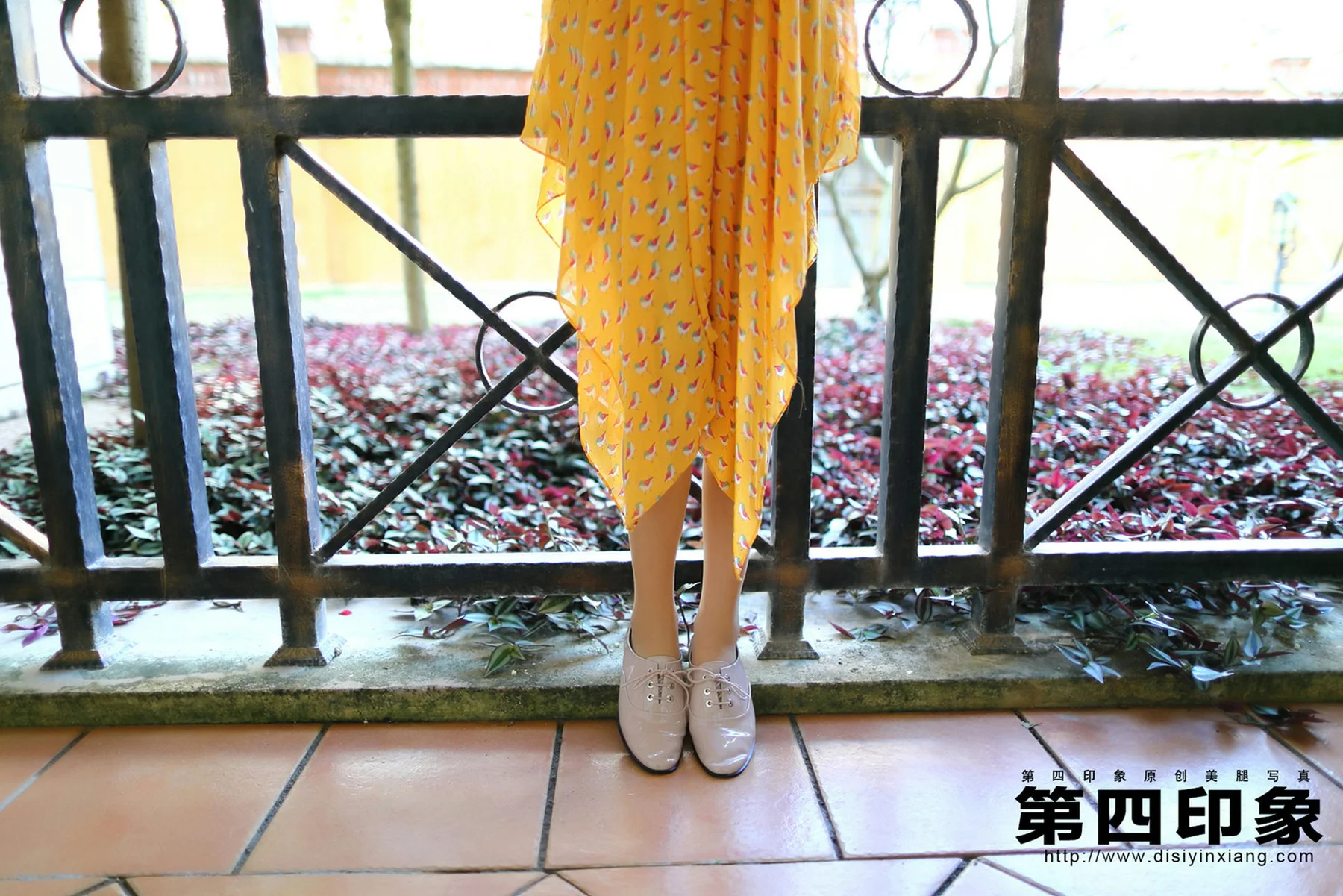 Disi 第四印象 No.394 - 5