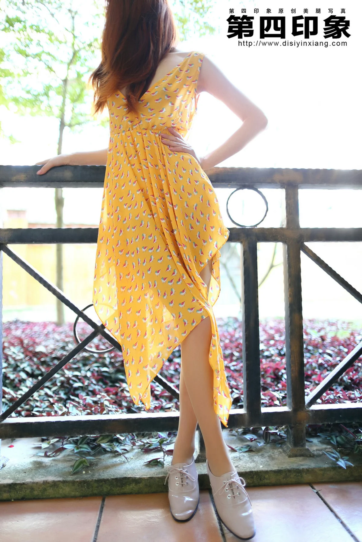 Disi 第四印象 No.394 - 8