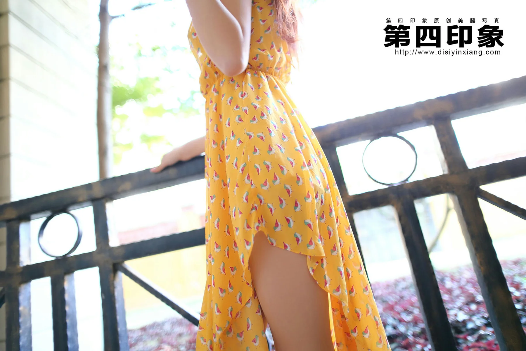 Disi 第四印象 No.394 - 9