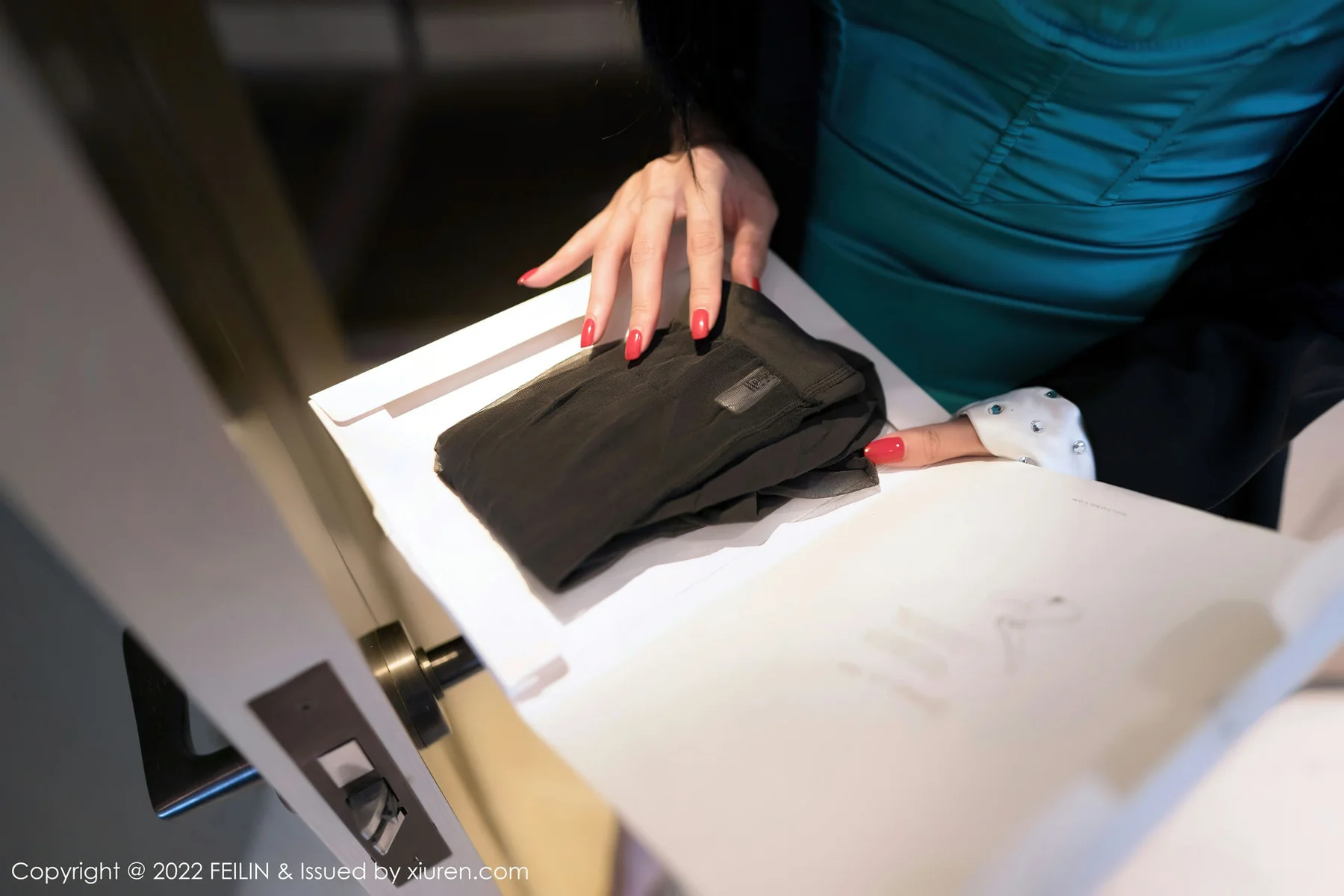 FeiLin 嗲囡囡 Vol.456  连衣短裙 陈怡曼 长腿御姐 - 9