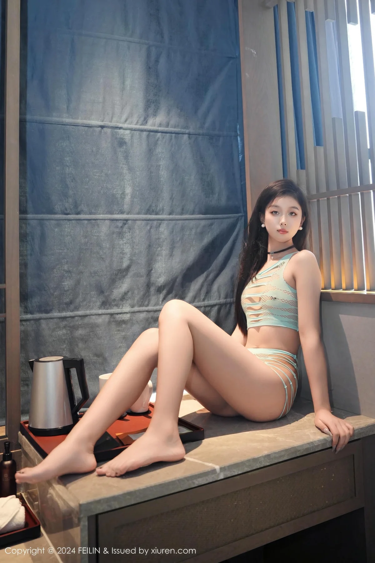 FeiLin 嗲囡囡 Vol.482  江念鱼 透视性感内衣 - 5