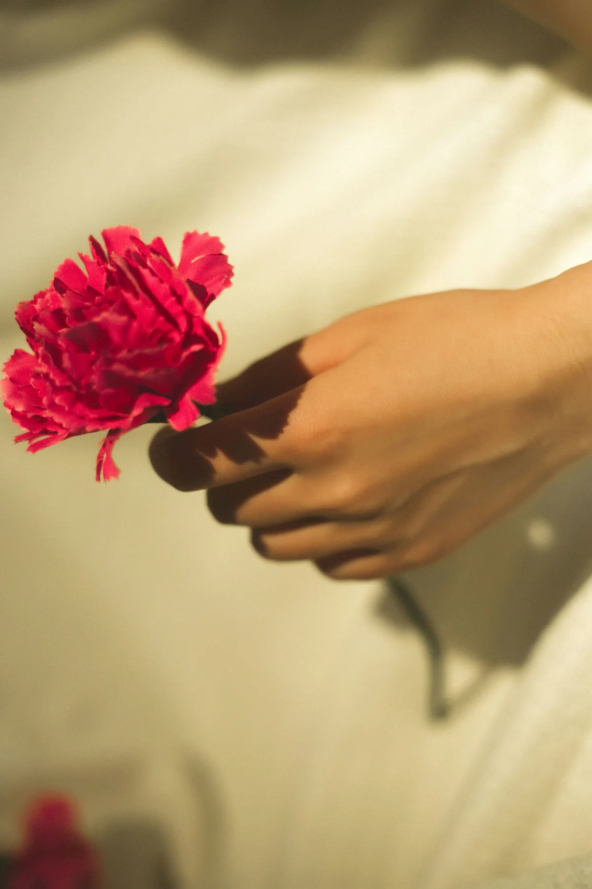 Goddes 头条女神 No.527 Modo 天使之恋 - 5