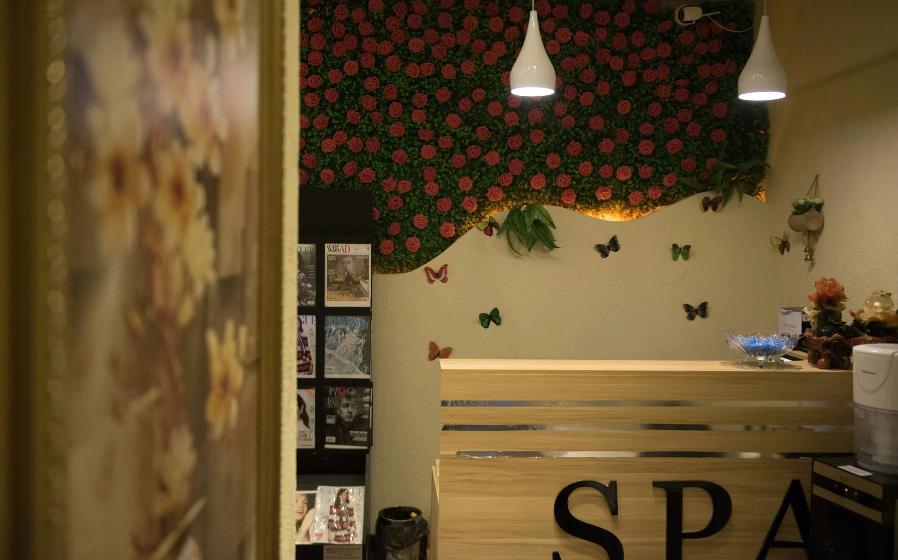 Goddes 头条女神 No.612 Modo 猫咪6M - 8