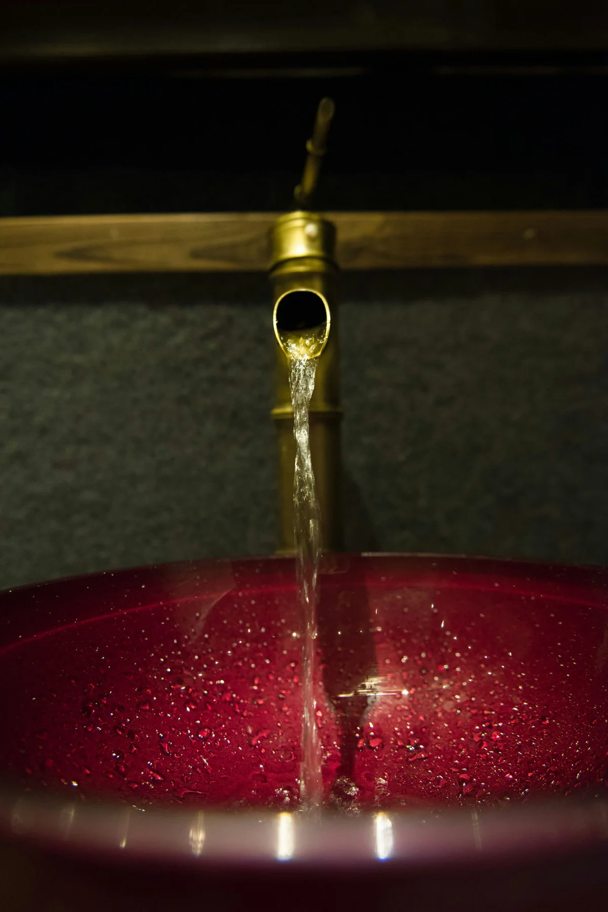 Goddes 头条女神 No.612 Modo 猫咪6M - 2