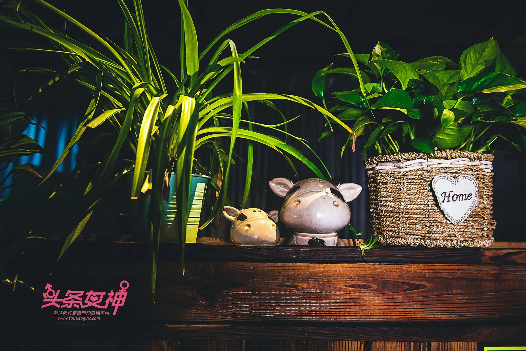 Goddes 头条女神 No.615 大晗巨乳咖啡厅制服 - 6