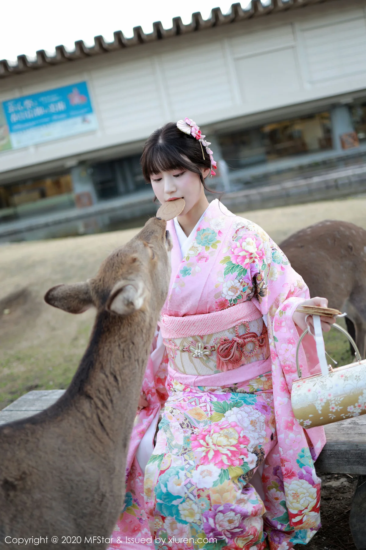 MFStar 模范学院 Vol.254 绚丽和服 朱可儿Flower 日本旅拍写真 - 3