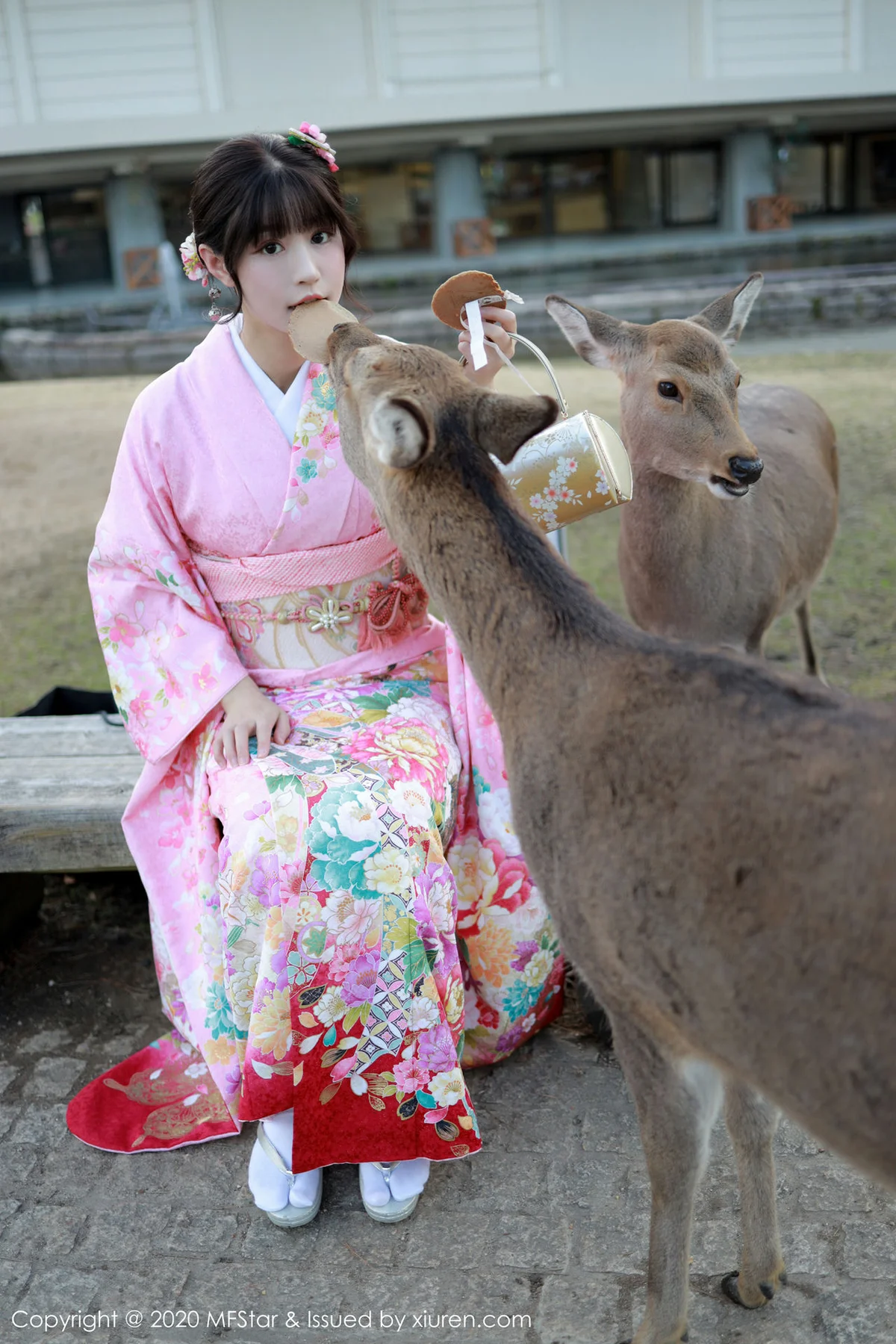 MFStar 模范学院 Vol.254 绚丽和服 朱可儿Flower 日本旅拍写真 - 6