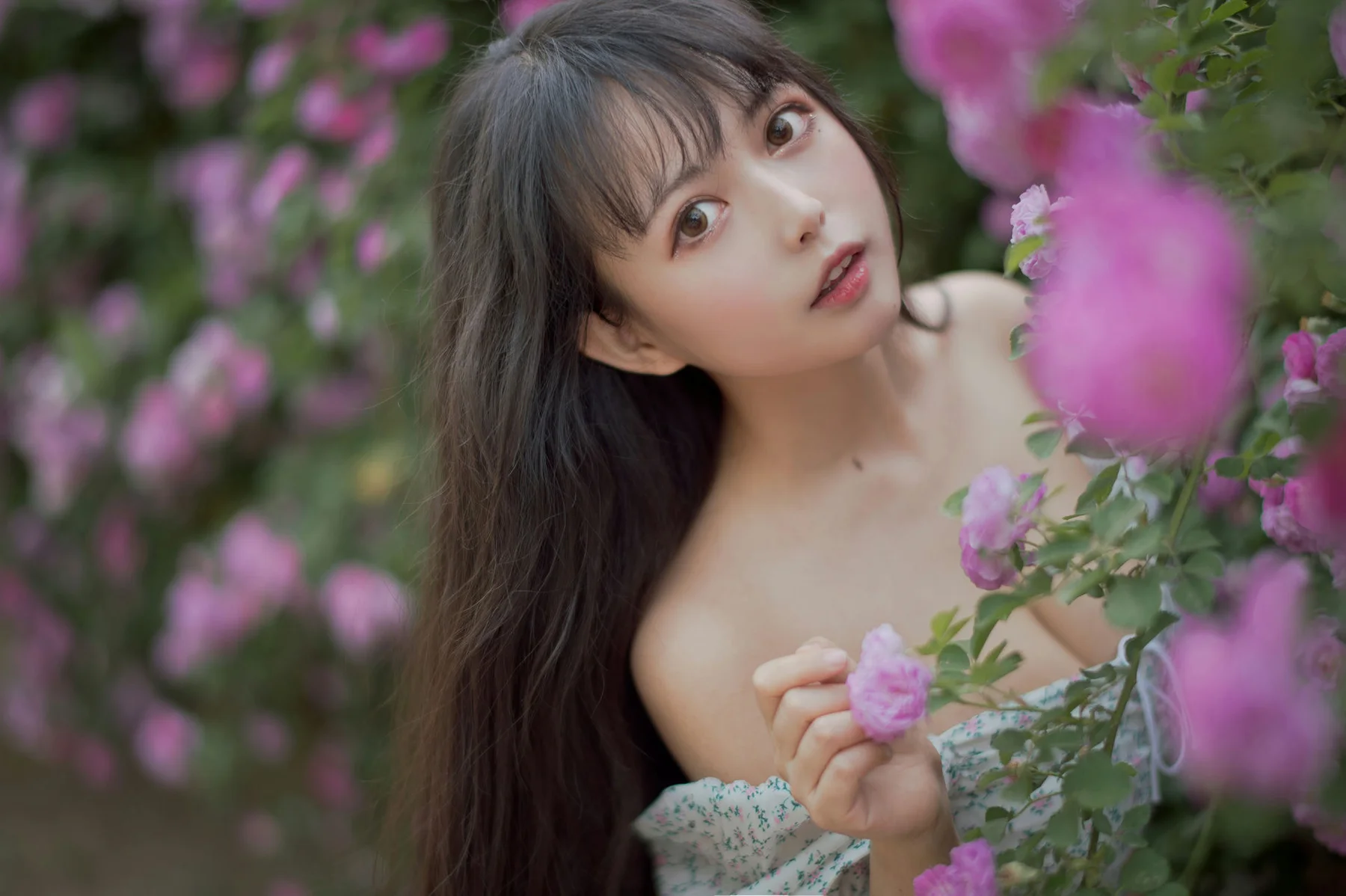 MTYH 喵糖映画 Vol.338  蔷薇少女 - 2