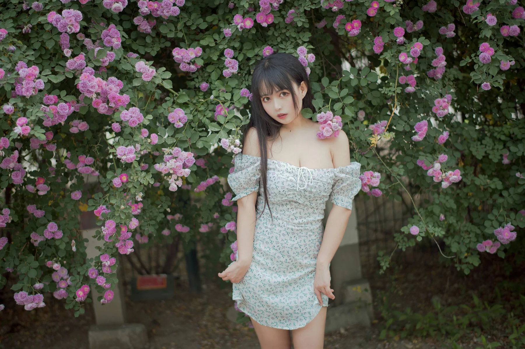 MTYH 喵糖映画 Vol.338  蔷薇少女 - 7