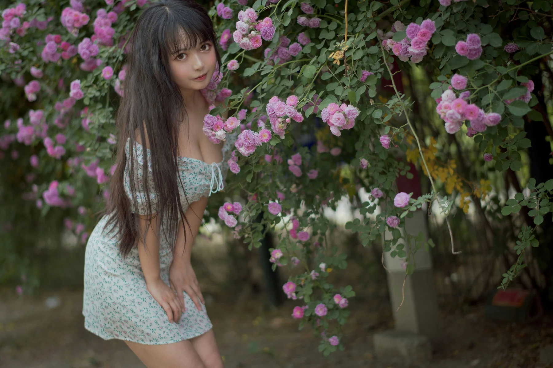 MTYH 喵糖映画 Vol.338  蔷薇少女 - 6