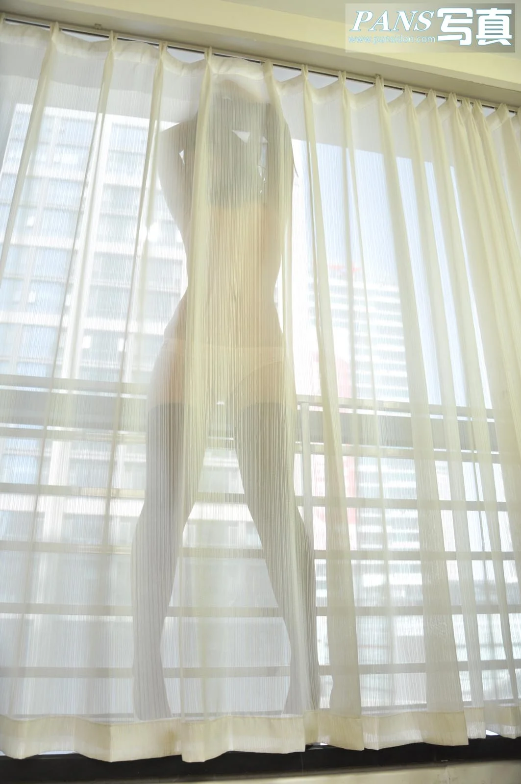 Pans 写真 No.055 31P/133M - 2