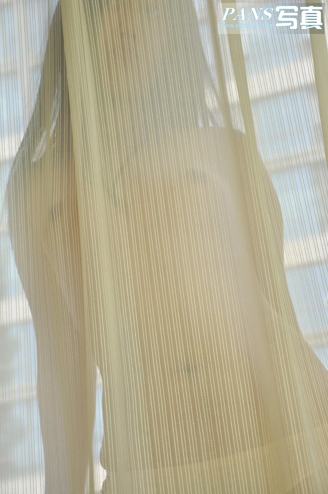 Pans 写真 No.055 31P/133M - 6