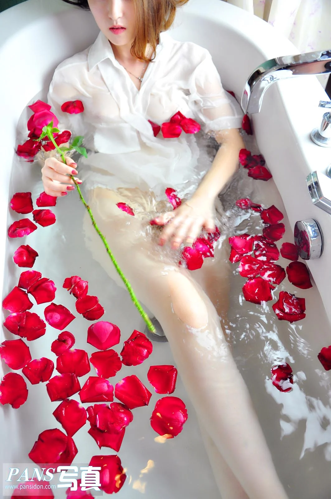 Pans 写真 No.118 紫萱 33P/174M - 3