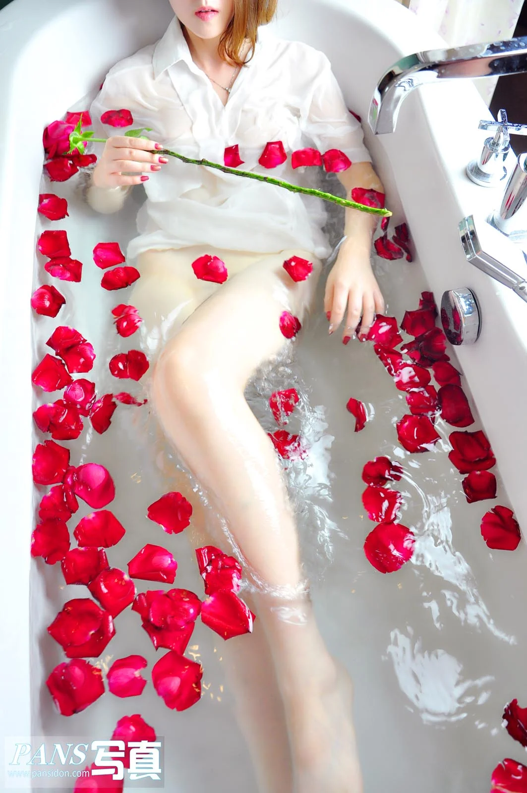 Pans 写真 No.118 紫萱 33P/174M - 4