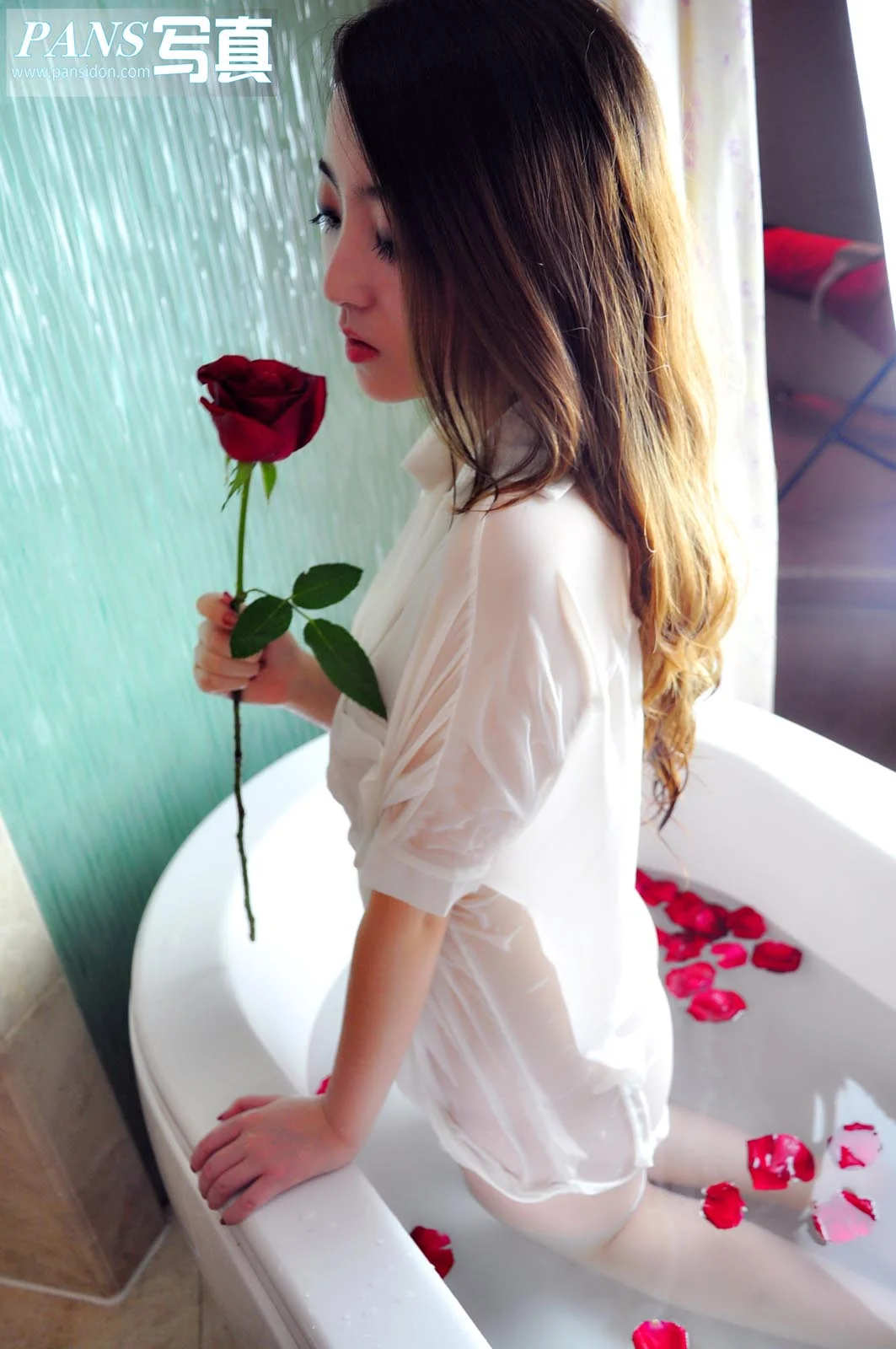 Pans 写真 No.118 紫萱 33P/174M - 3