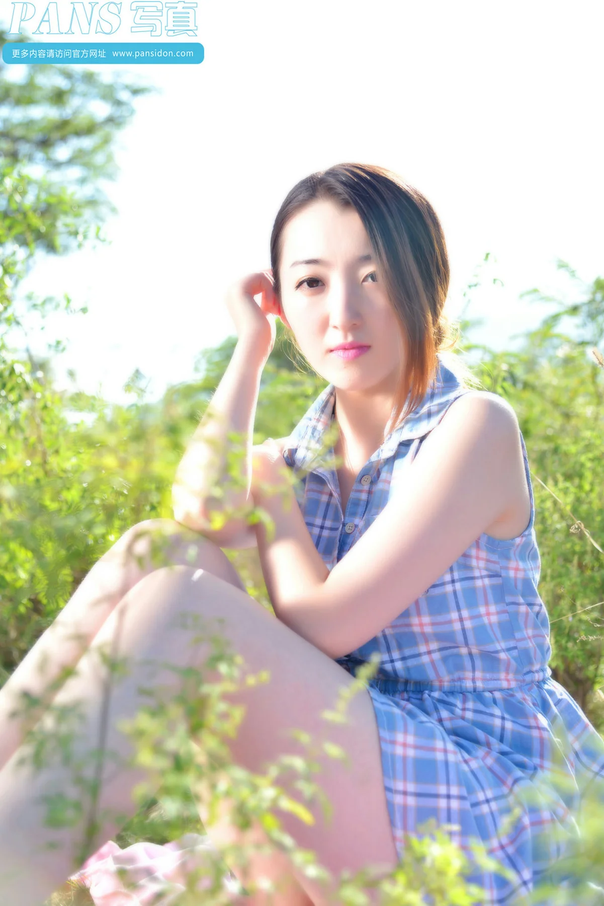 Pans 写真 No.356 紫萱 - 1