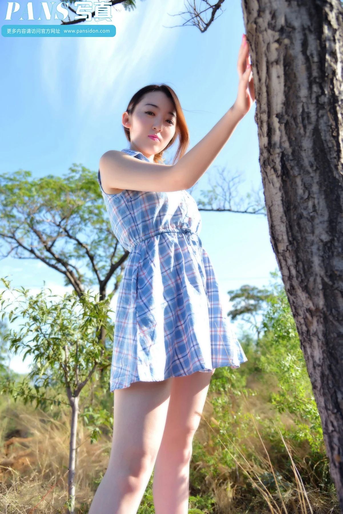 Pans 写真 No.356 紫萱 - 8