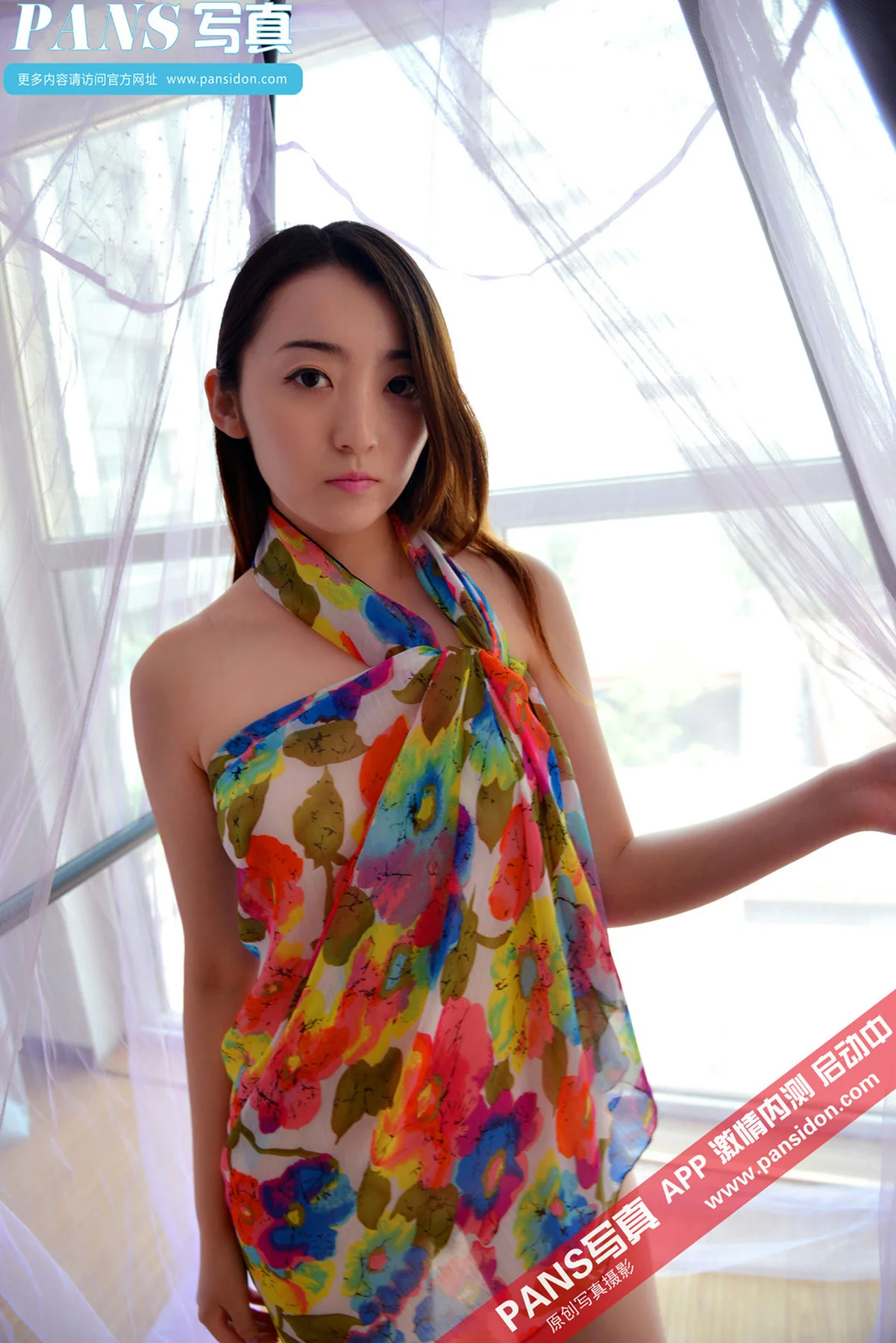 Pans 写真 No.381 紫萱 - 8