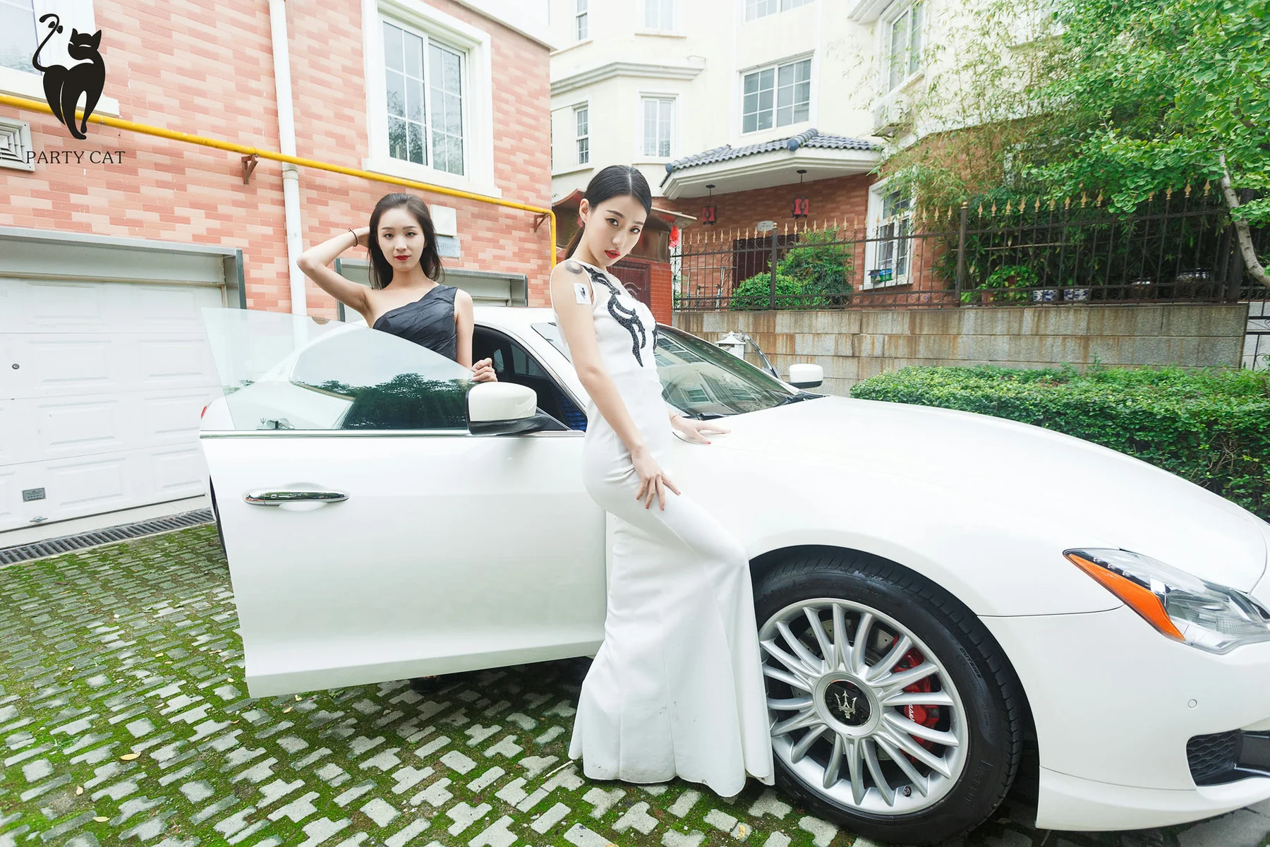 PartyCat 轰趴猫 No.001 Modo 楠哥 - 6