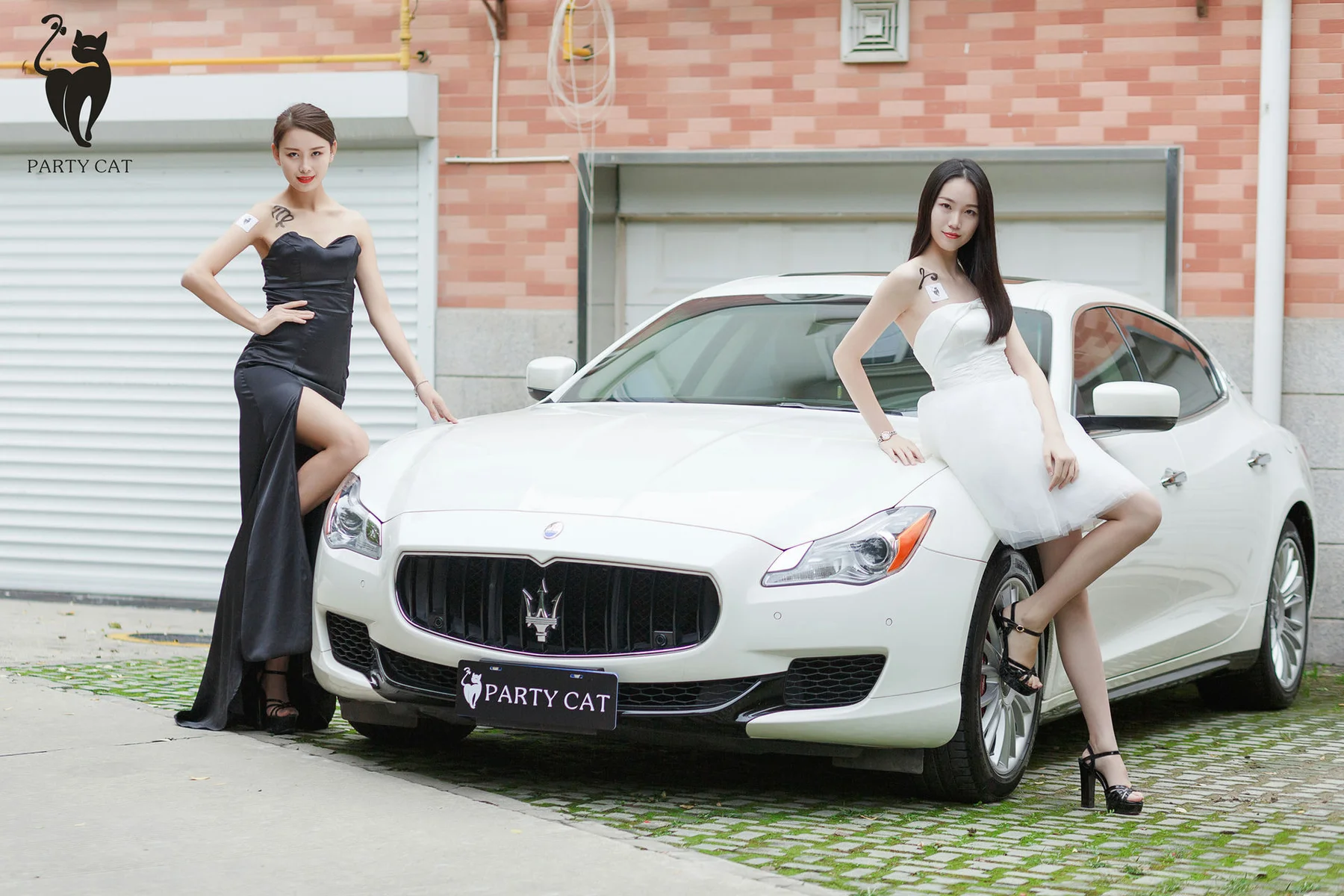 PartyCat 轰趴猫 No.001 Modo 楠哥 - 7