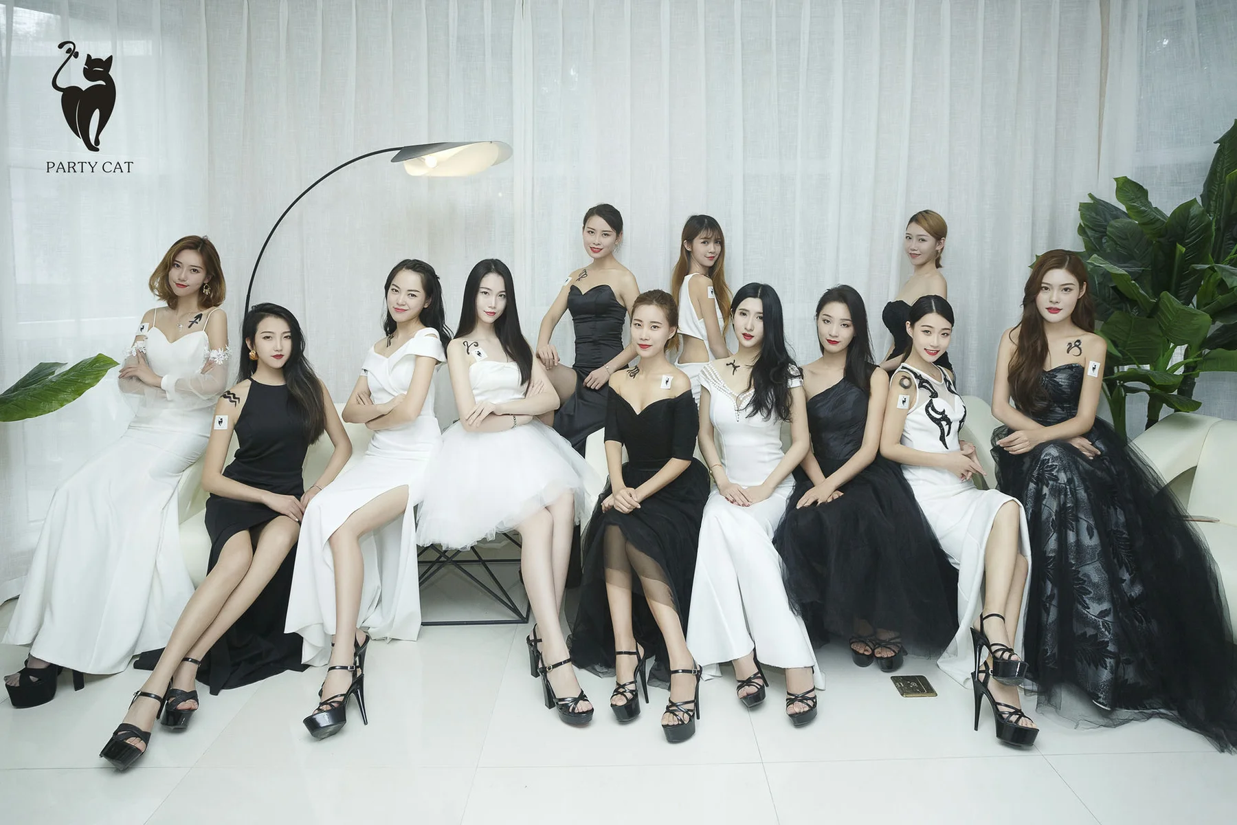 PartyCat 轰趴猫 No.002 Modo 楠哥 - 1