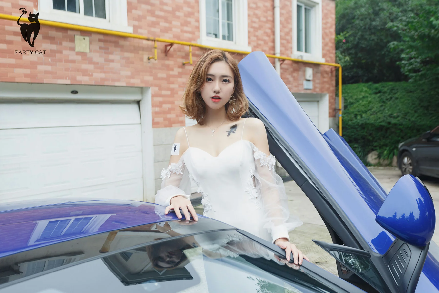 PartyCat 轰趴猫 No.003 Modo 楠哥 - 2