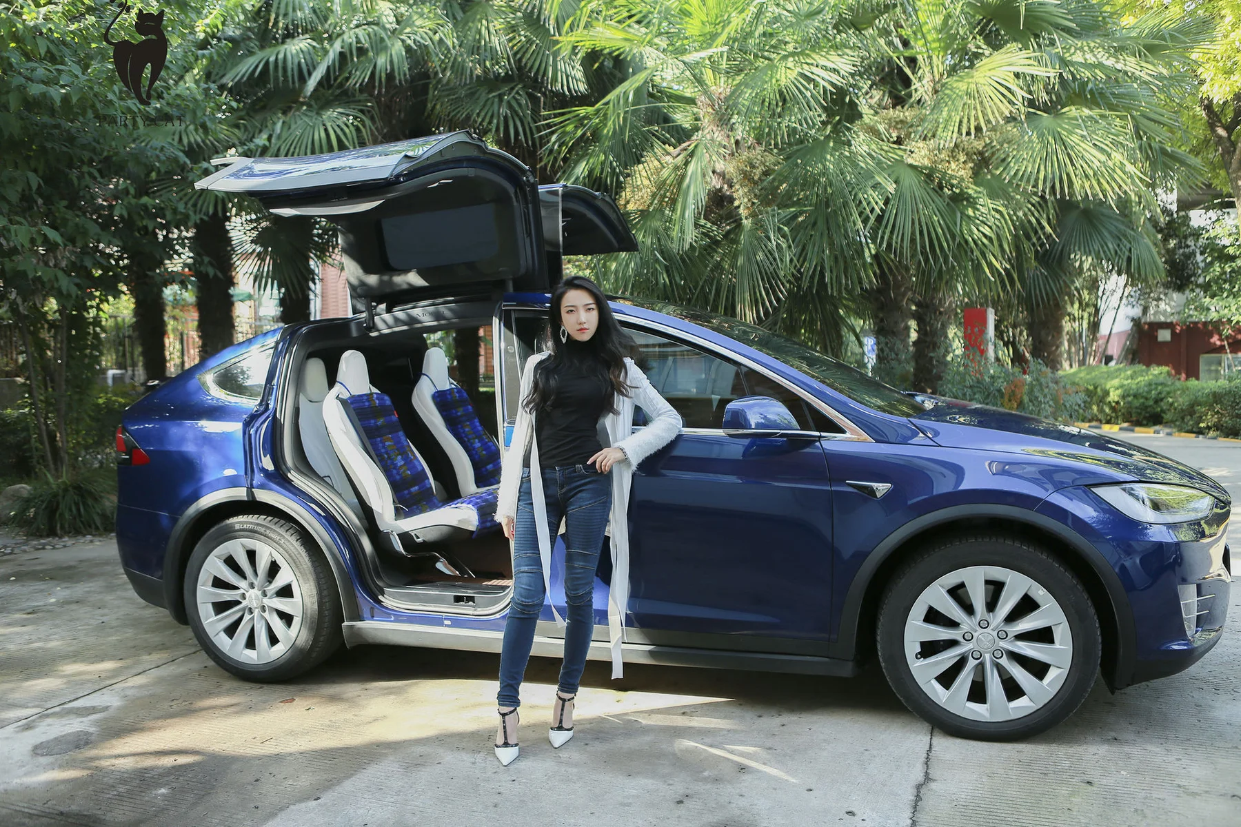 PartyCat 轰趴猫 No.005 Modo Morgana_崔 - 8