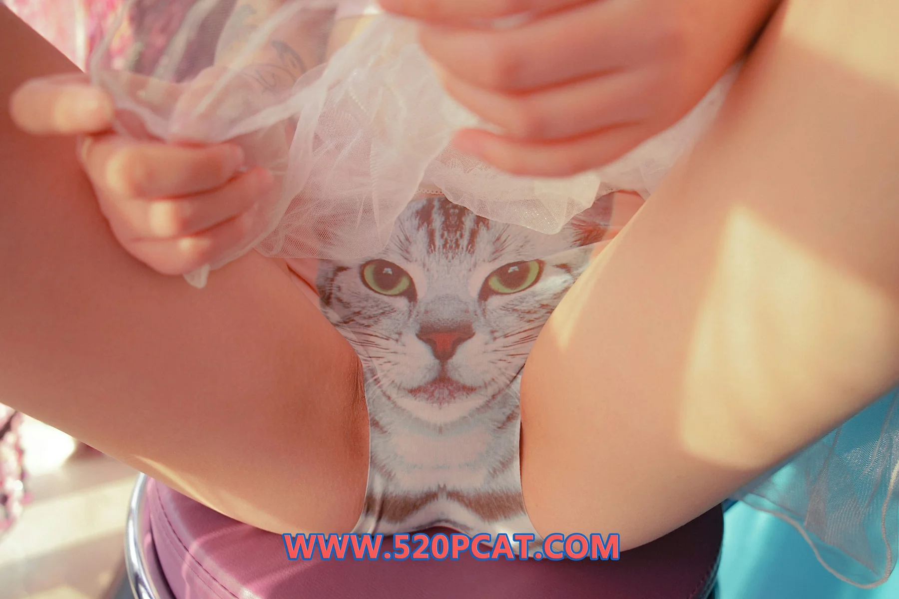 PartyCat 轰趴猫 No.020 Modo 七七 - 3