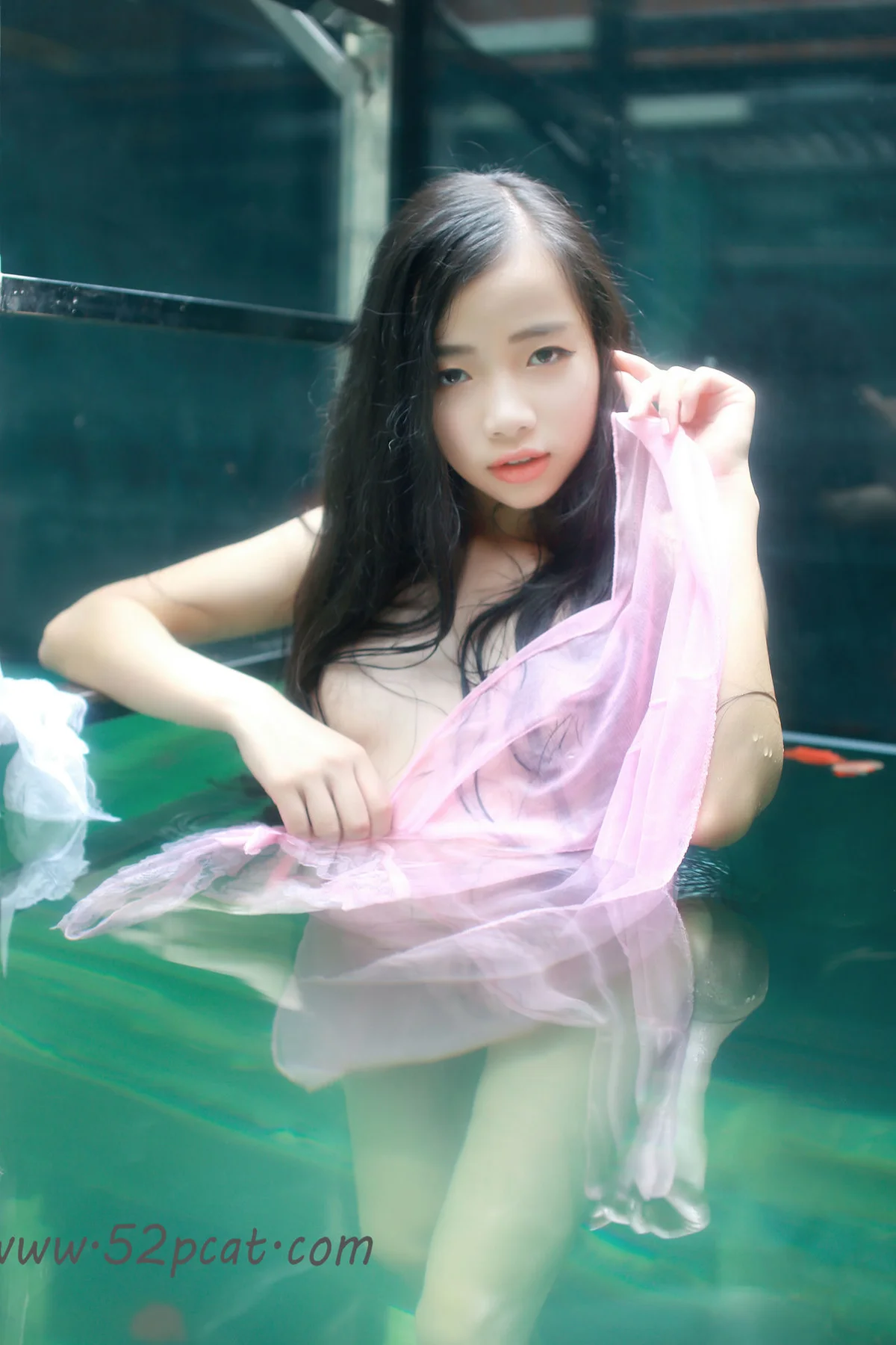 PartyCat 轰趴猫 No.071 Modo 兰蔻 - 10