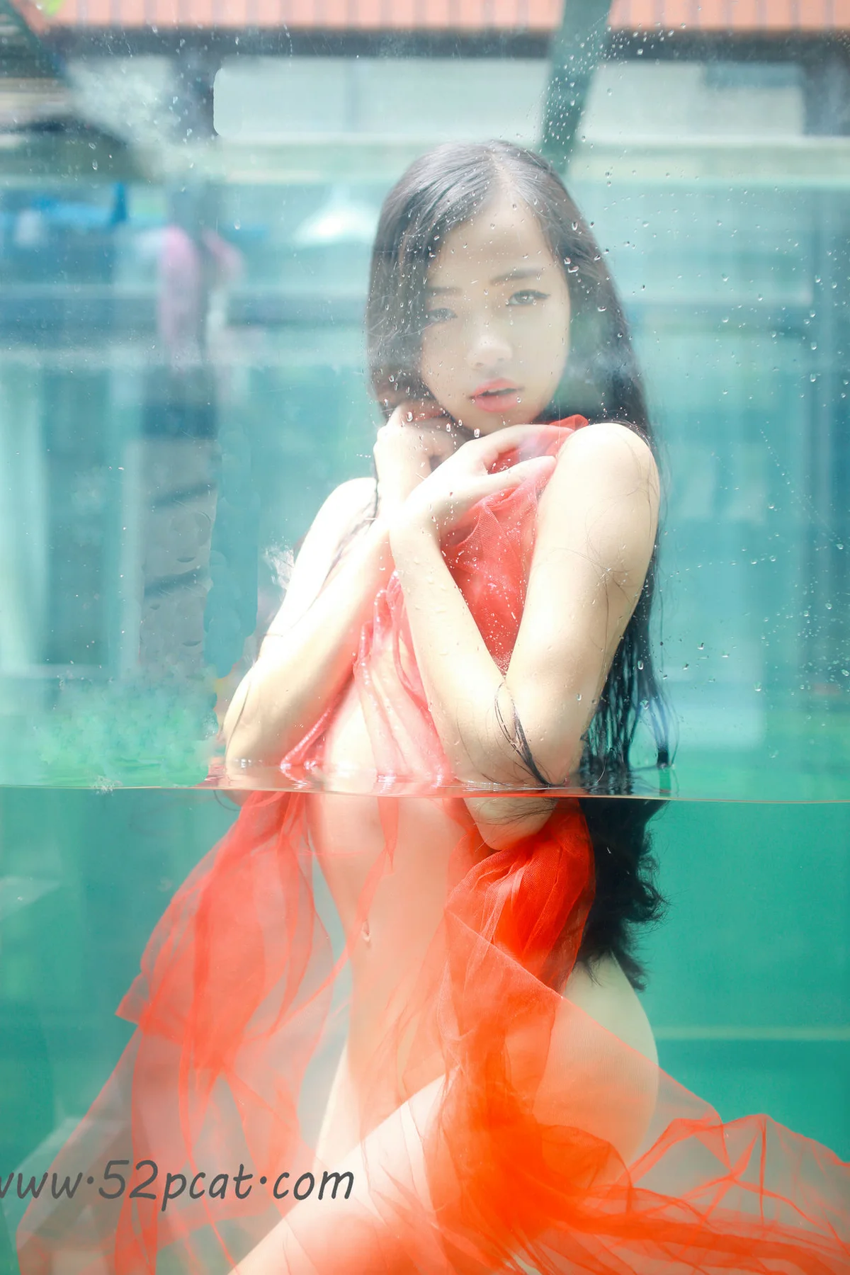 PartyCat 轰趴猫 No.071 Modo 兰蔻 - 2