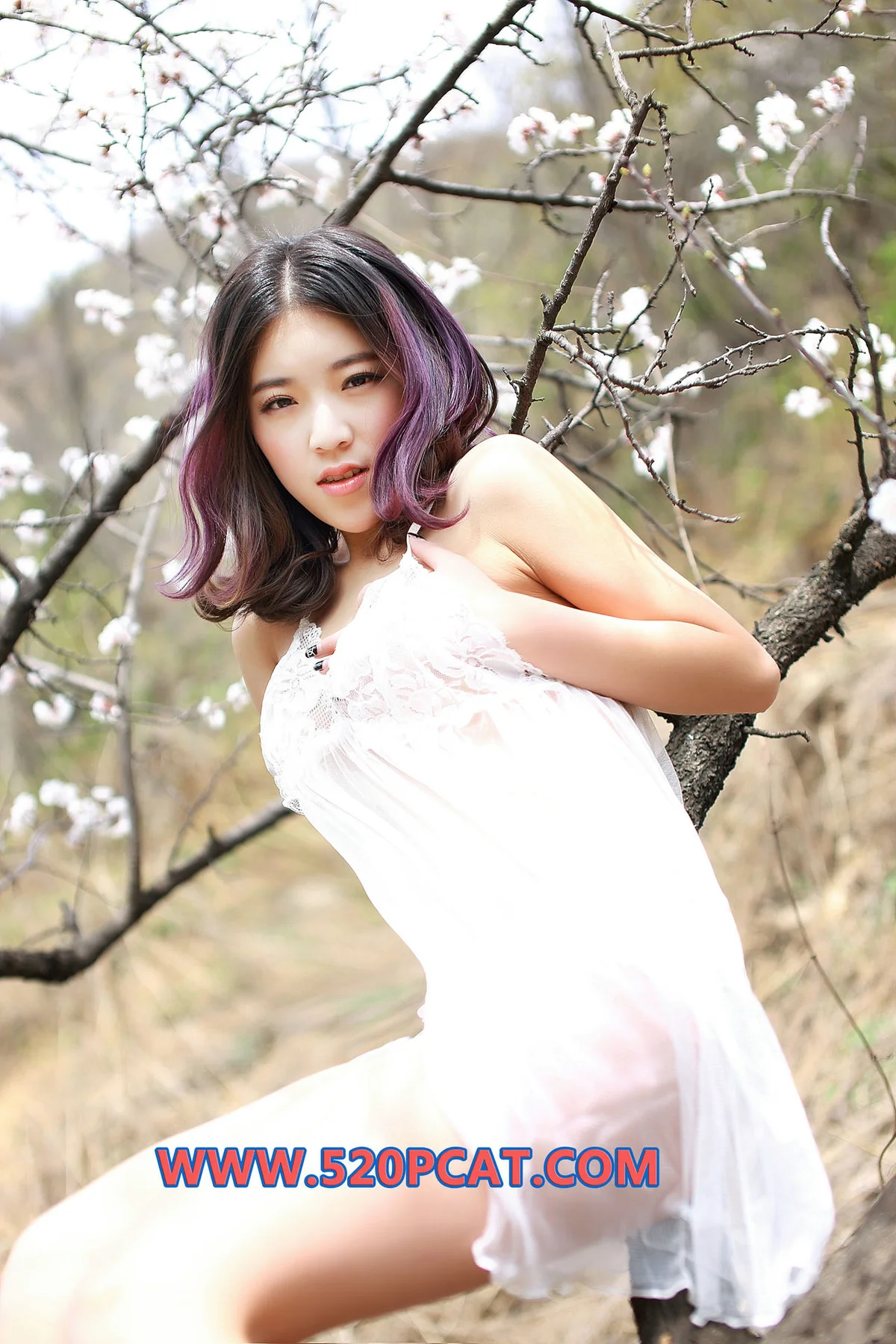 PartyCat 轰趴猫 No.135  Modo 白裙美女野外美拍 - 5