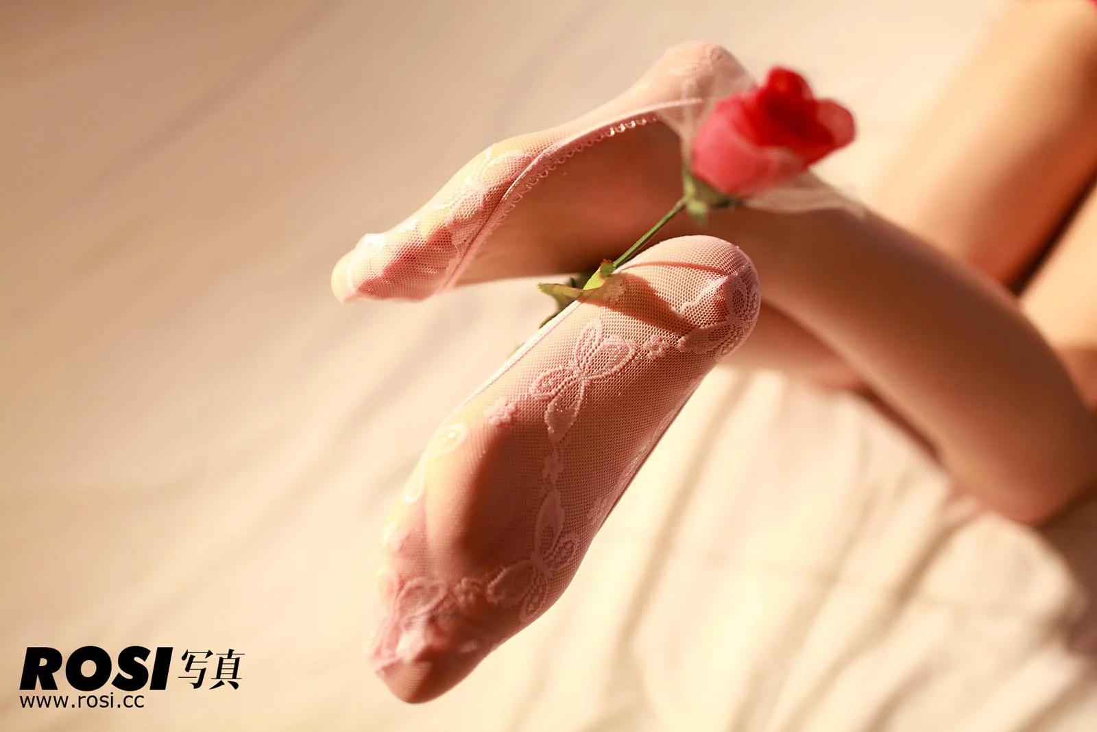 Rosi 写真 No.028 33P/19.08M - 8