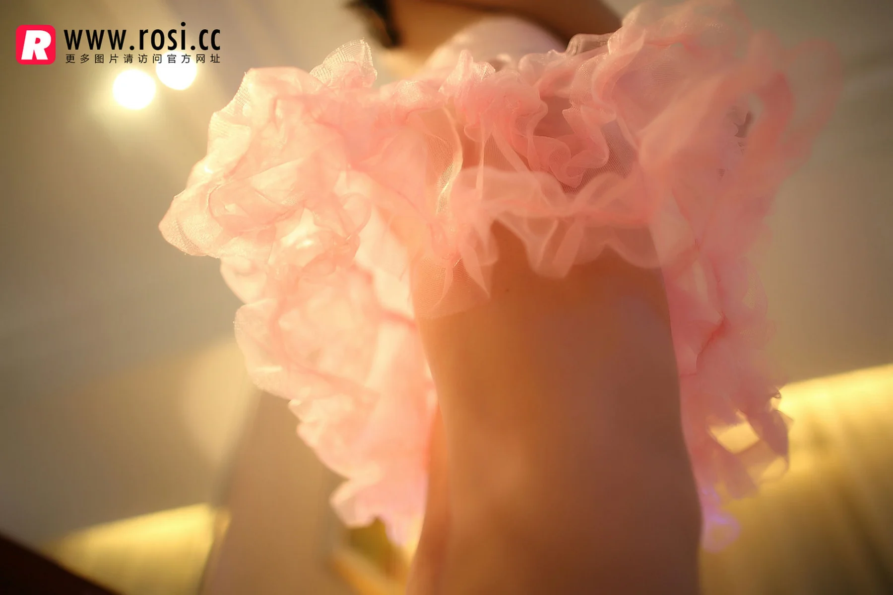 Rosi 写真 No.1068 丝袜美臀 - 7