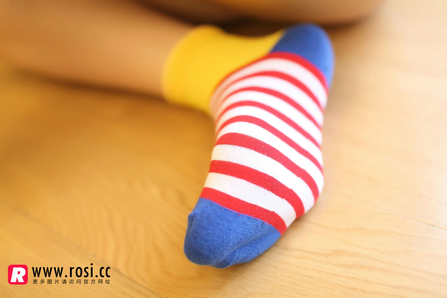 Rosi 写真 No.1072 - 4