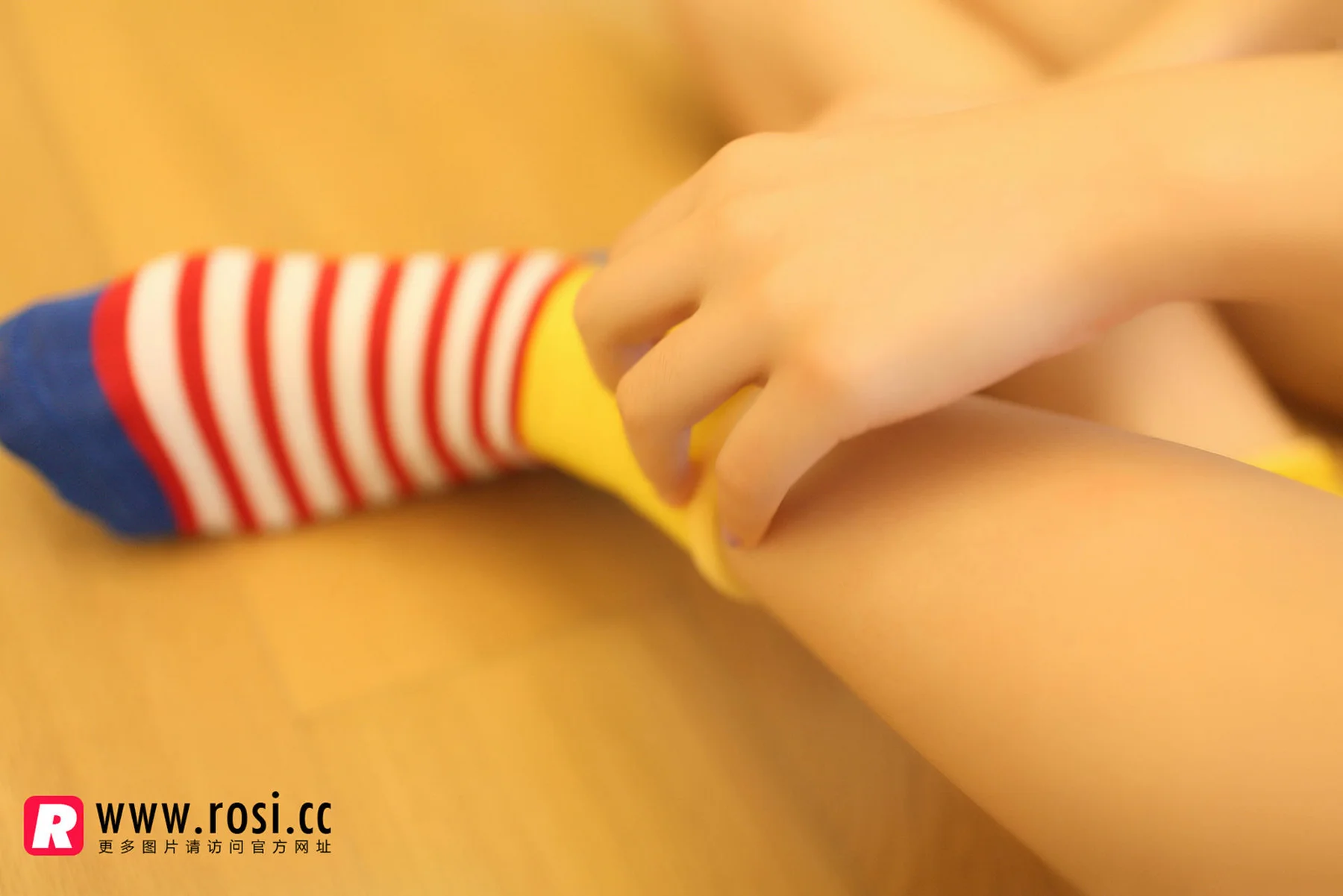 Rosi 写真 No.1072 - 6