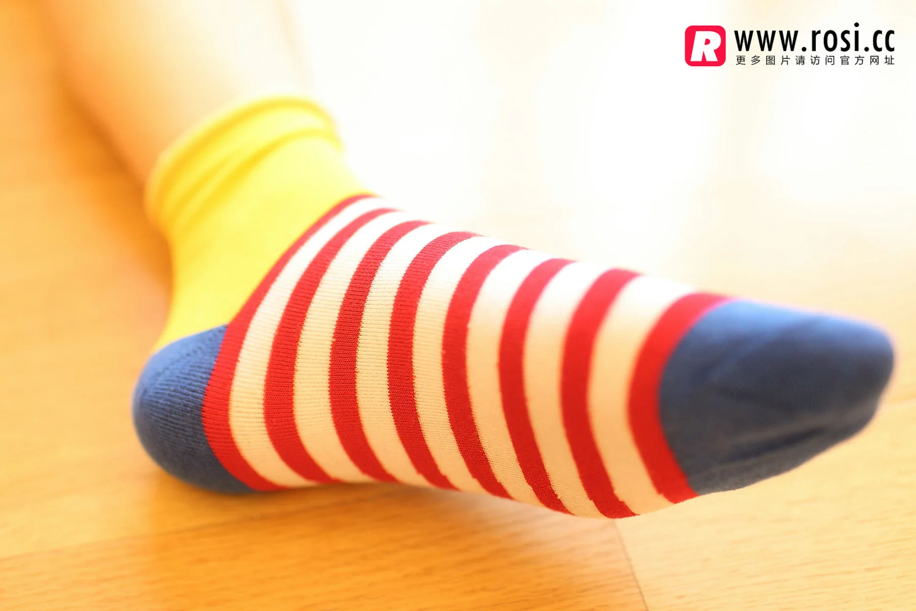 Rosi 写真 No.1072 - 2