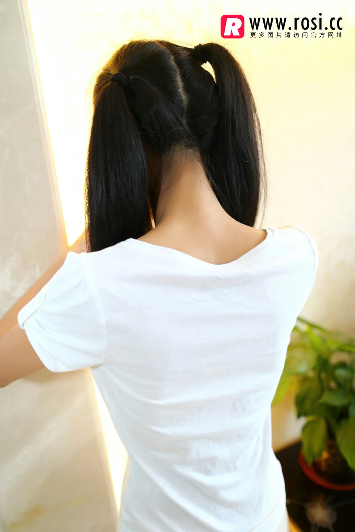 Rosi 写真 No.1084 - 2