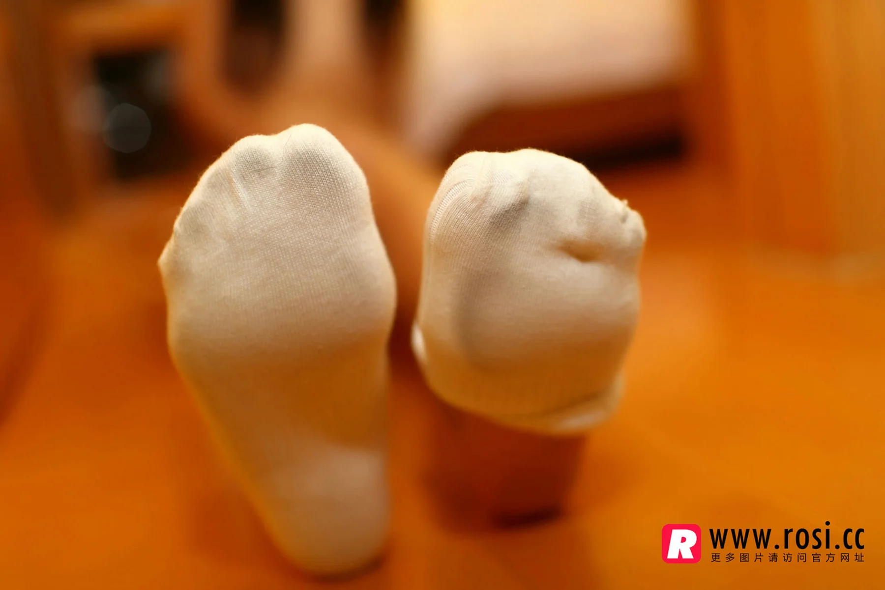 Rosi 写真 No.1233 - 10