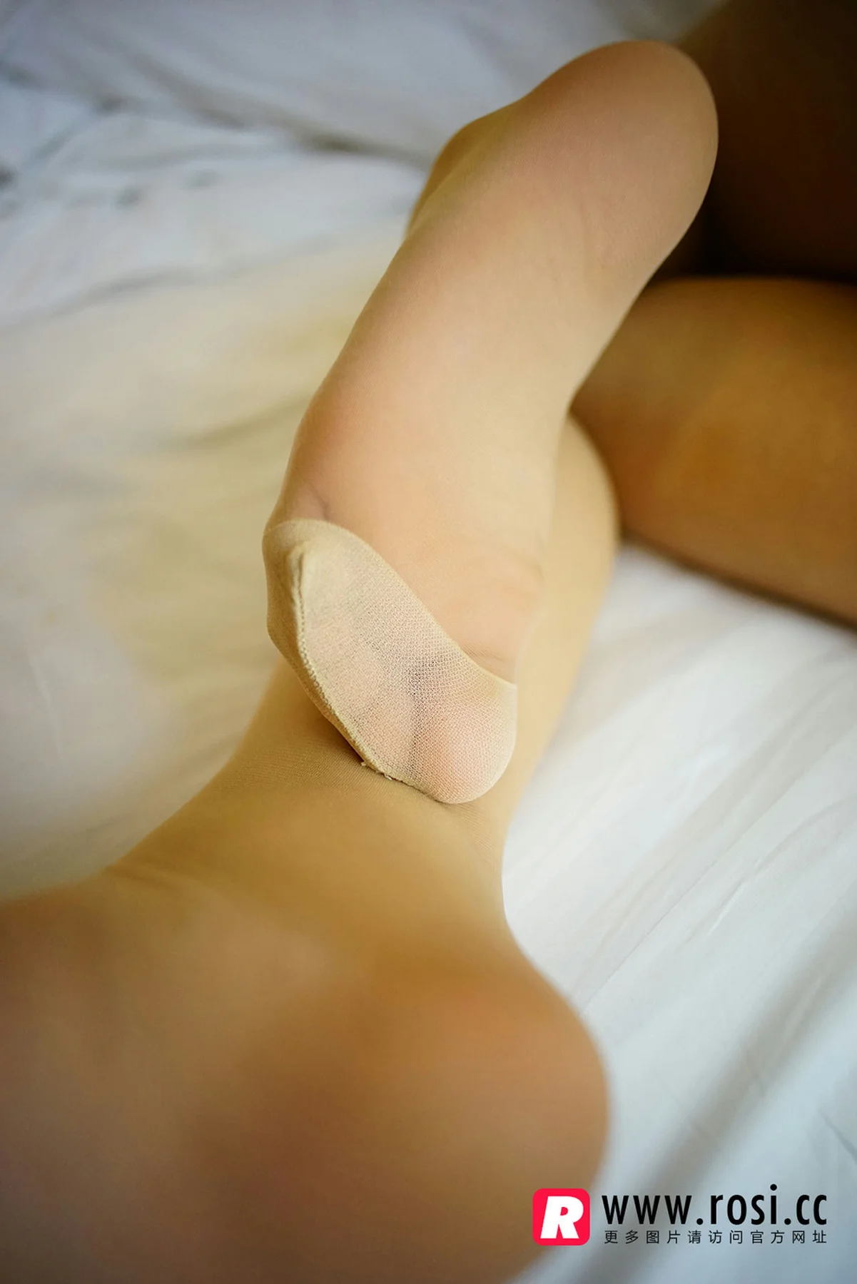 Rosi 写真 No.1242 - 5