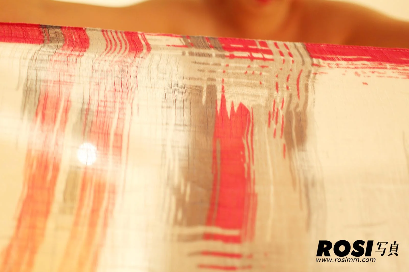 Rosi 写真 No.128 20P/23.55M - 10