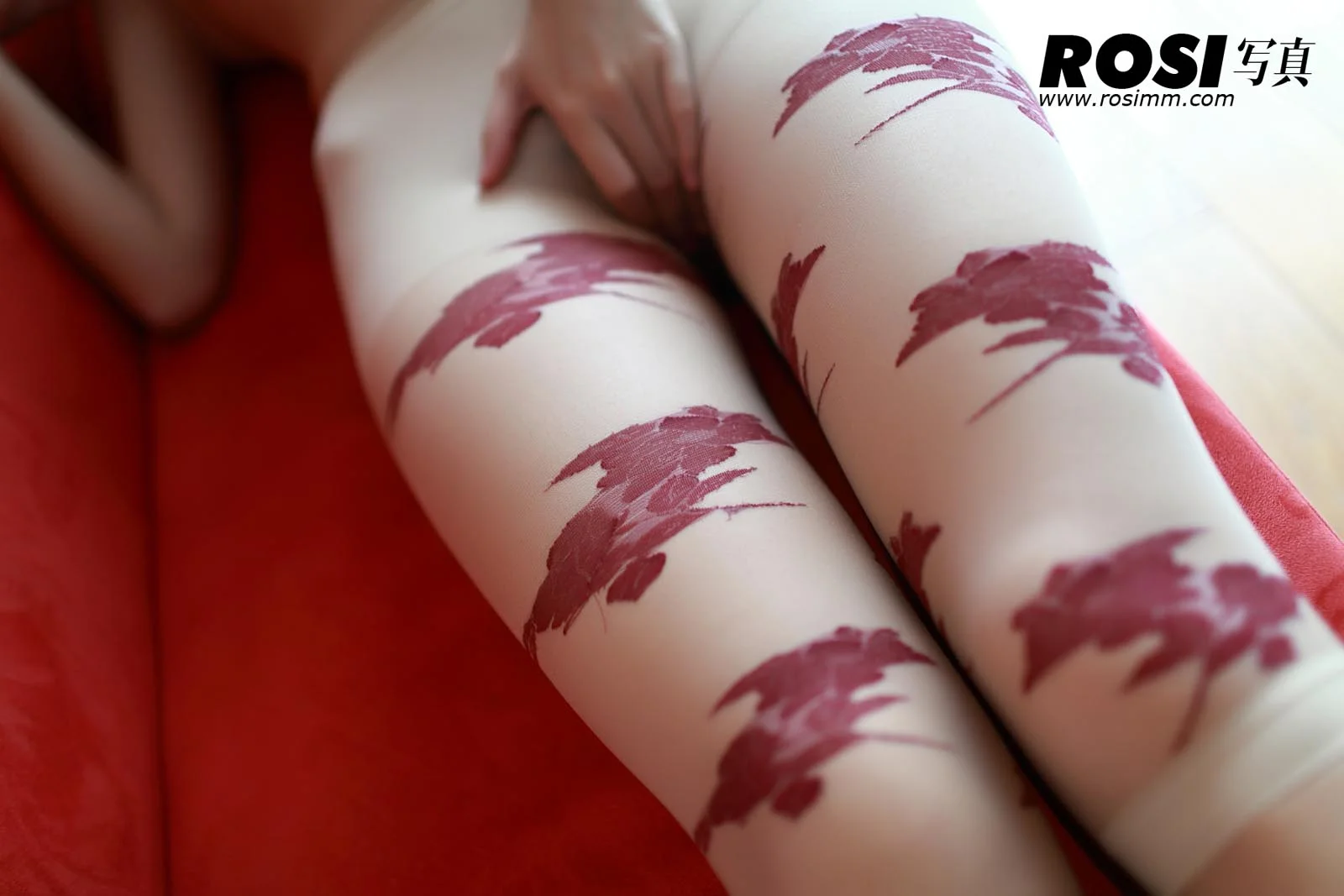 Rosi 写真 No.175 36P/32.10M - 6