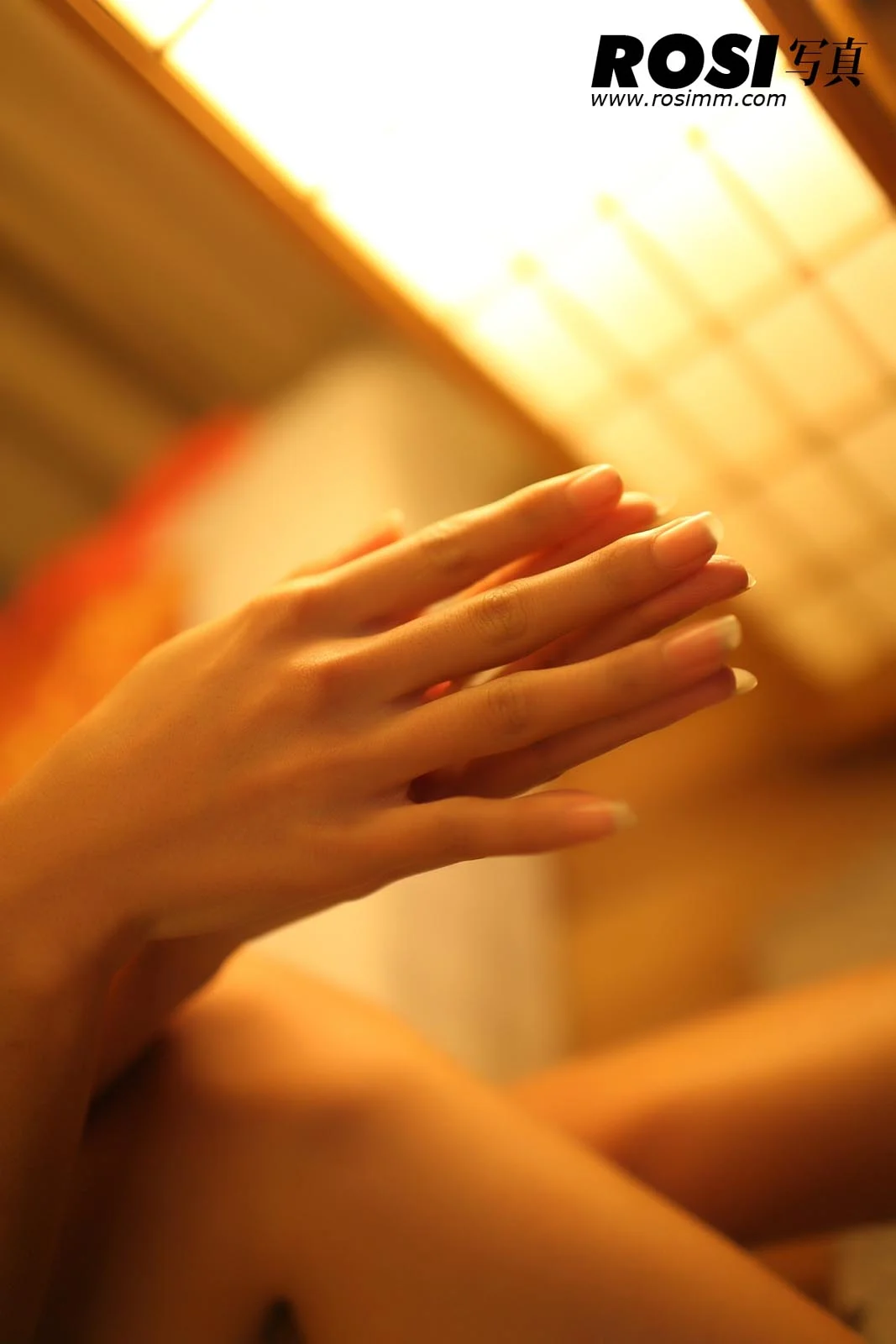 Rosi 写真 No.212 50P/46.13M - 8