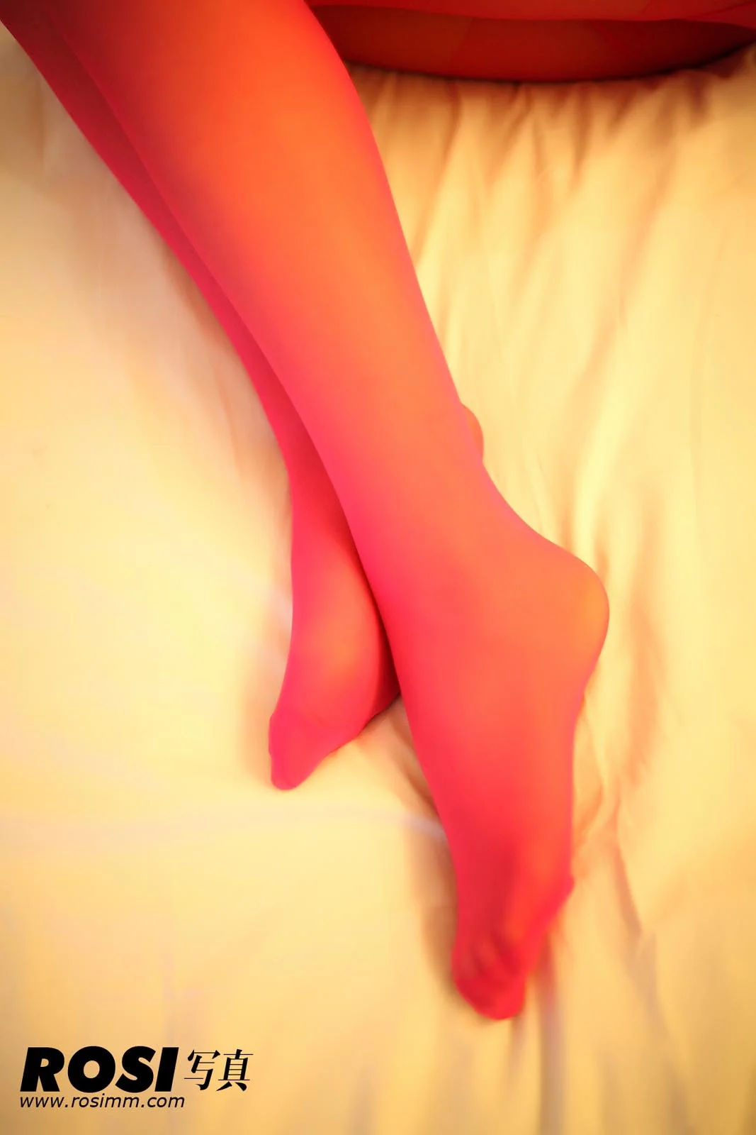 Rosi 写真 No.509 21P/19M - 7