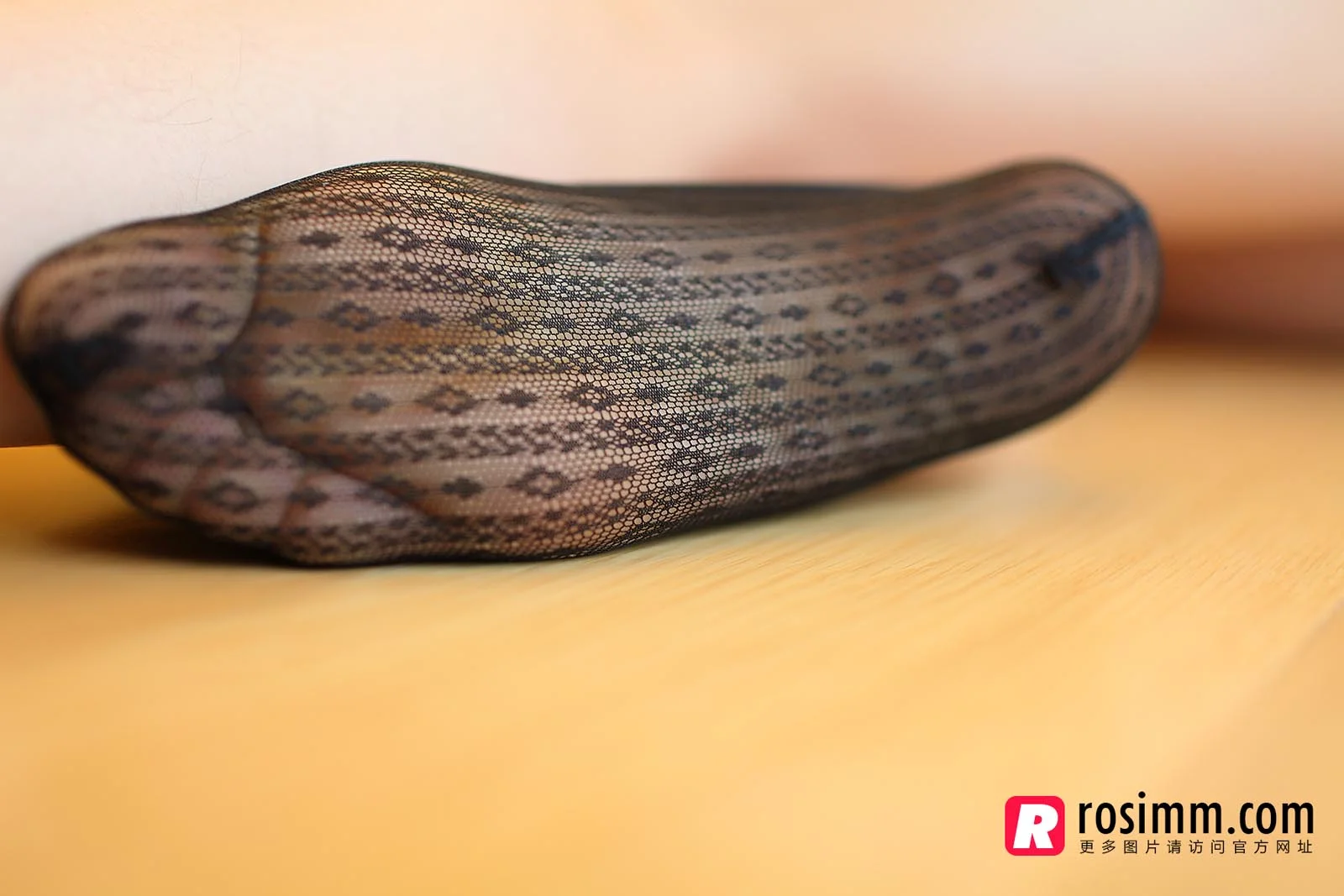 Rosi 写真 No.781 22P/26.9M - 3