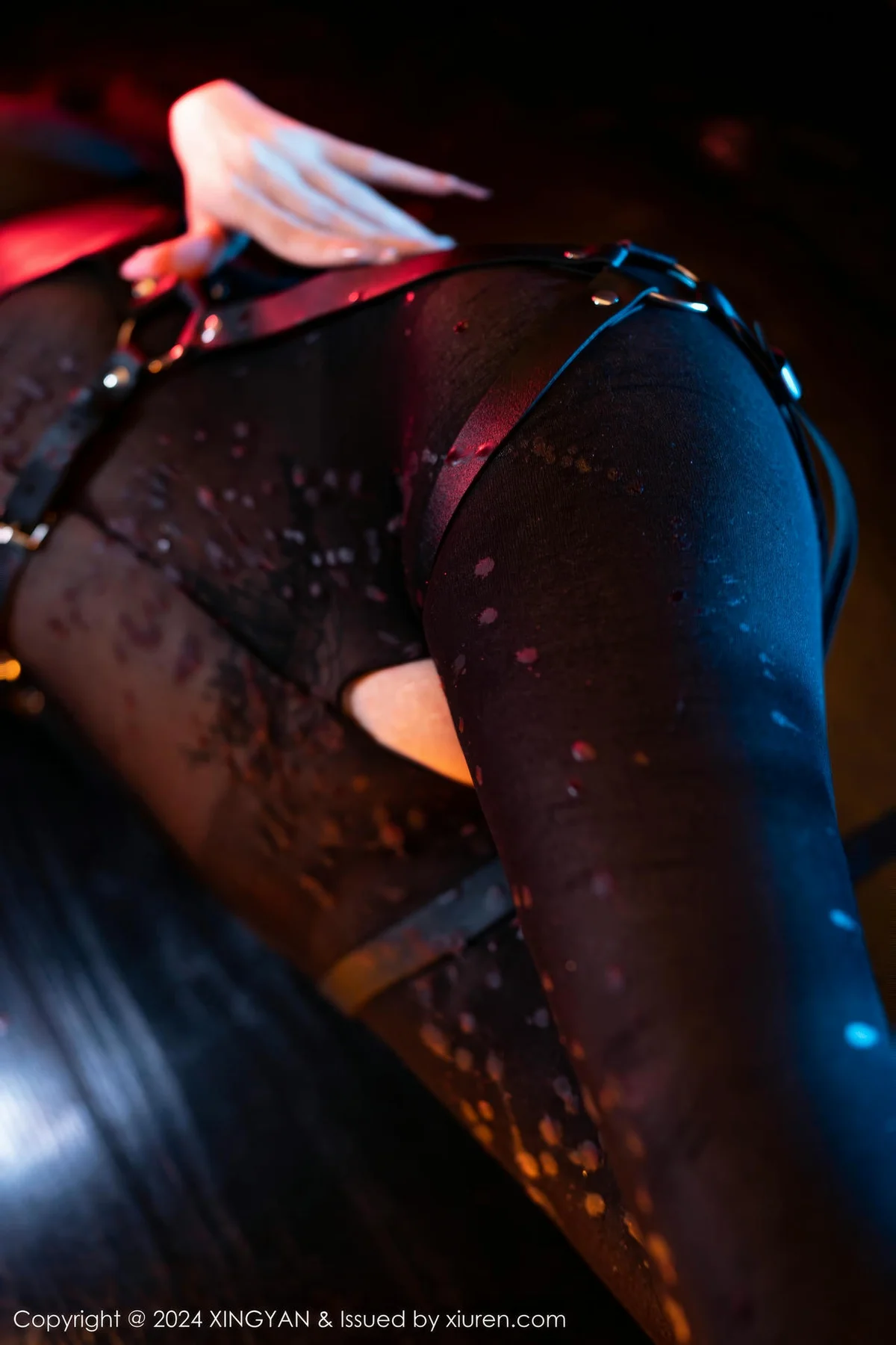 XINGYAN 星颜社 Vol.248 潘思沁 轻透网纱连体衣性感写真111 - 10