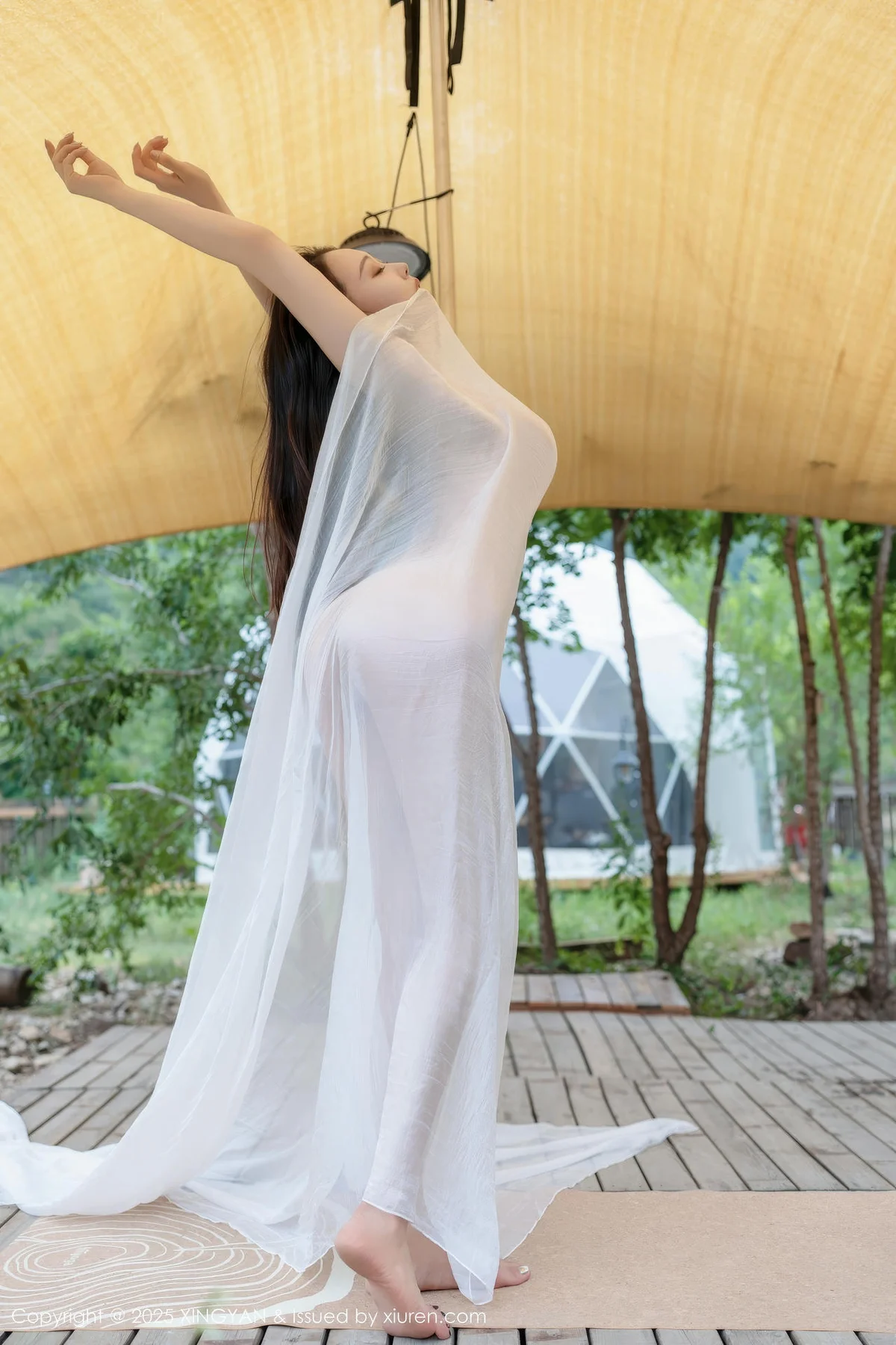 XINGYAN 星颜社 Vol.298 清妙 玉体透视好身材 - 2