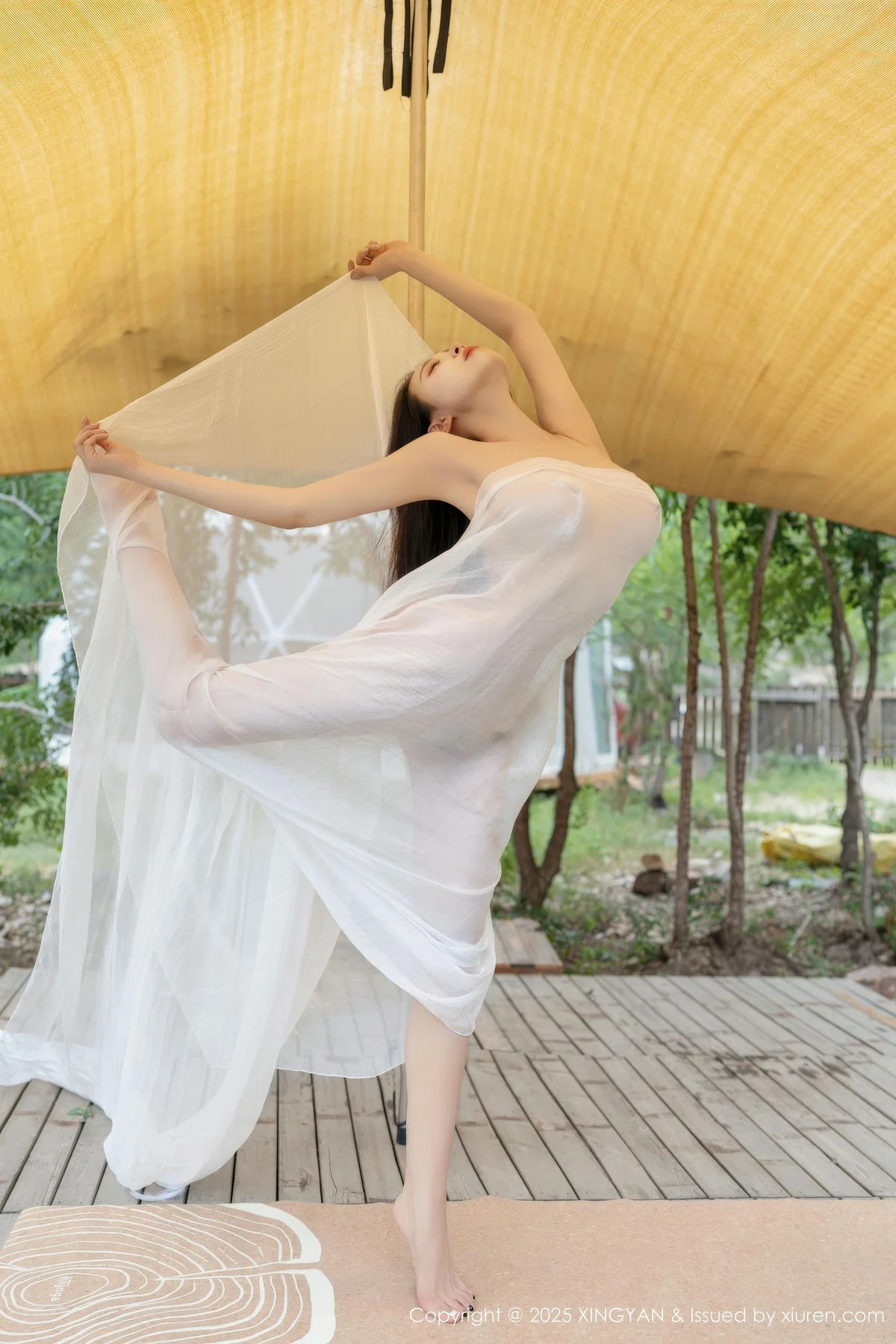 XINGYAN 星颜社 Vol.298 清妙 玉体透视好身材 - 3